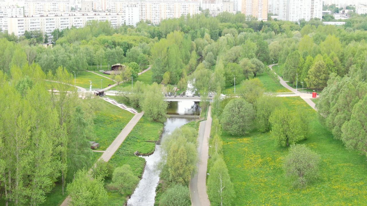 Депутат Мосгордумы: Озеленение городских территорий является одним из важнейших акцентов благоустройства. Фото: архив