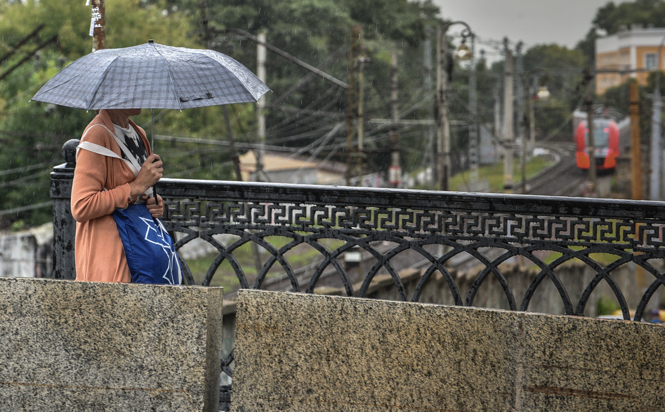 Следует взять зонт. Фото: Пелагия Замятина, «Вечерняя Москва»