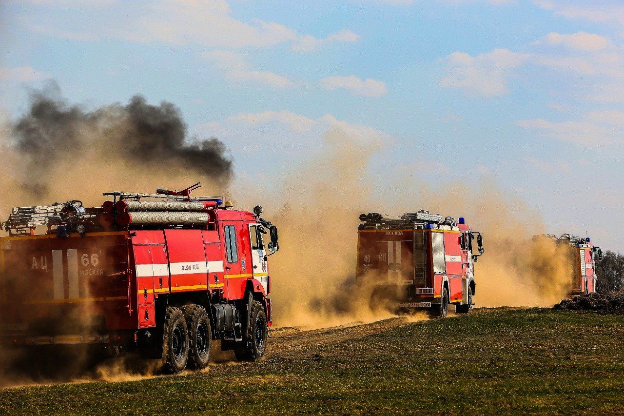 В летний период в столице не зафиксировано природных пожаров. Фото: пресс-служба Управления по ТиНАО Департамента ГОЧСиПБ  