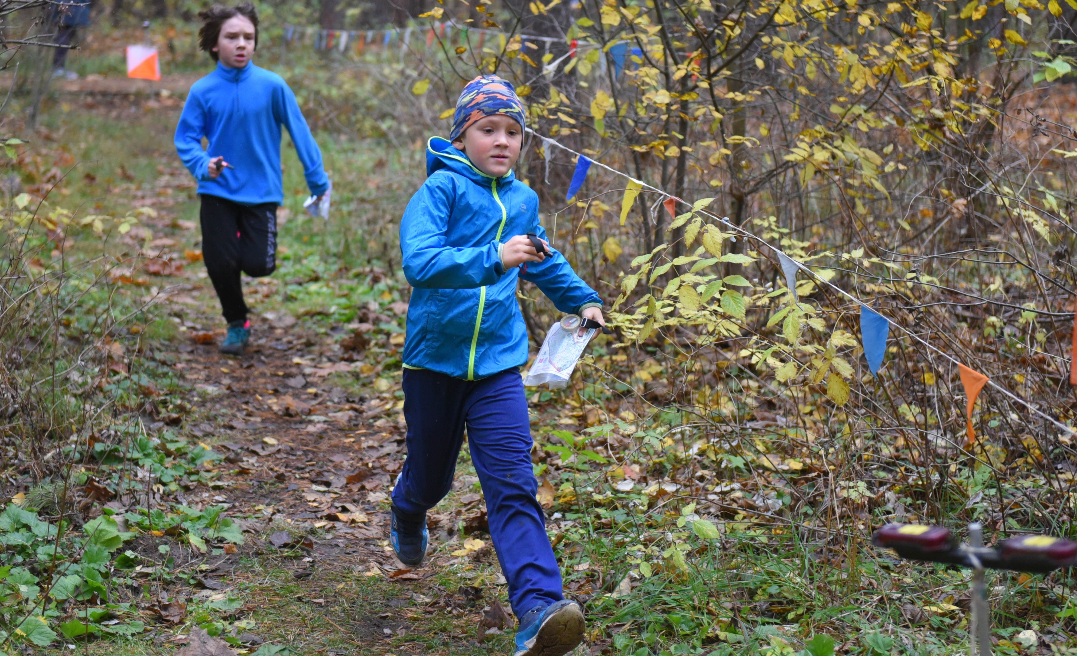 Осенняя пробежка в Битцевском лесу: Мосприрода составила подборку из восьми маршрутов по столичным паркам