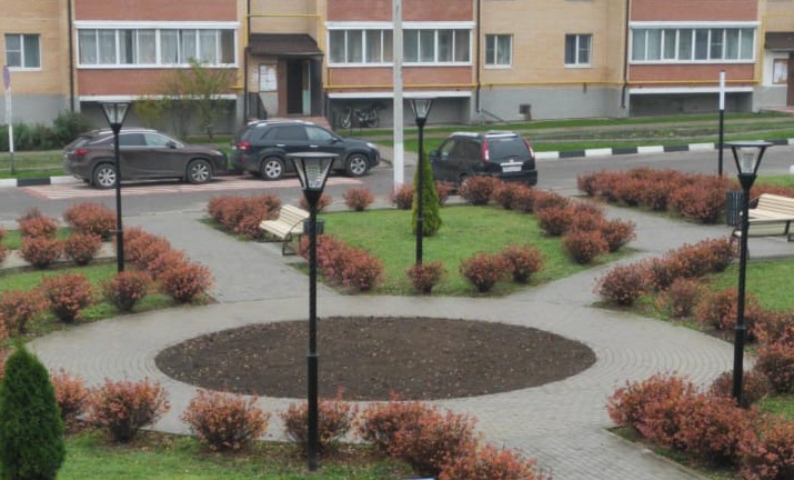 Весной 2021 года жители поселения смогут увидеть тюльпаны. Фото предоставили сотрудники администрации Щаповского