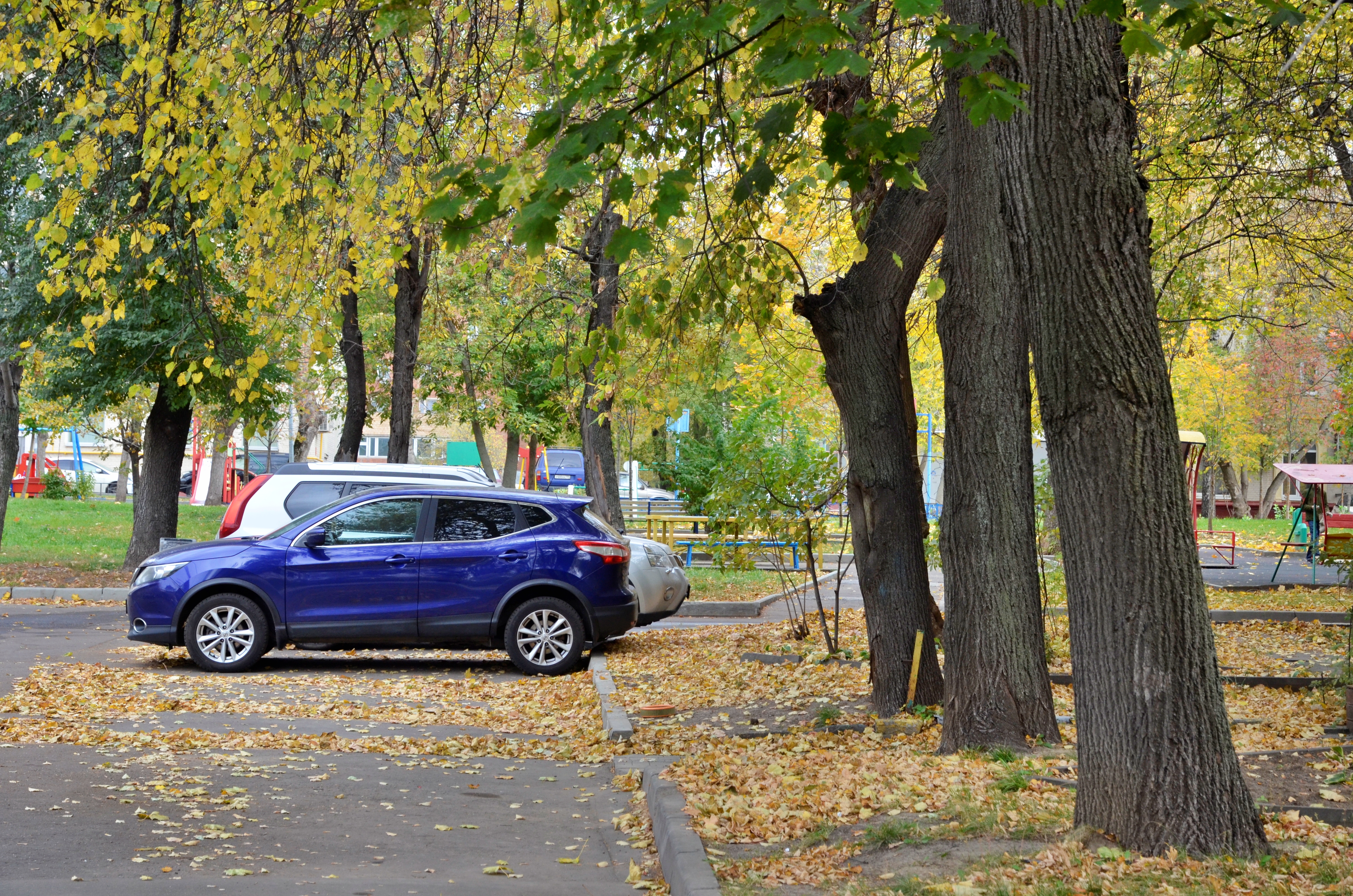 Специалисты обустроят парковку на 30 машиномест и тротуар. Фото: Анна Быкова