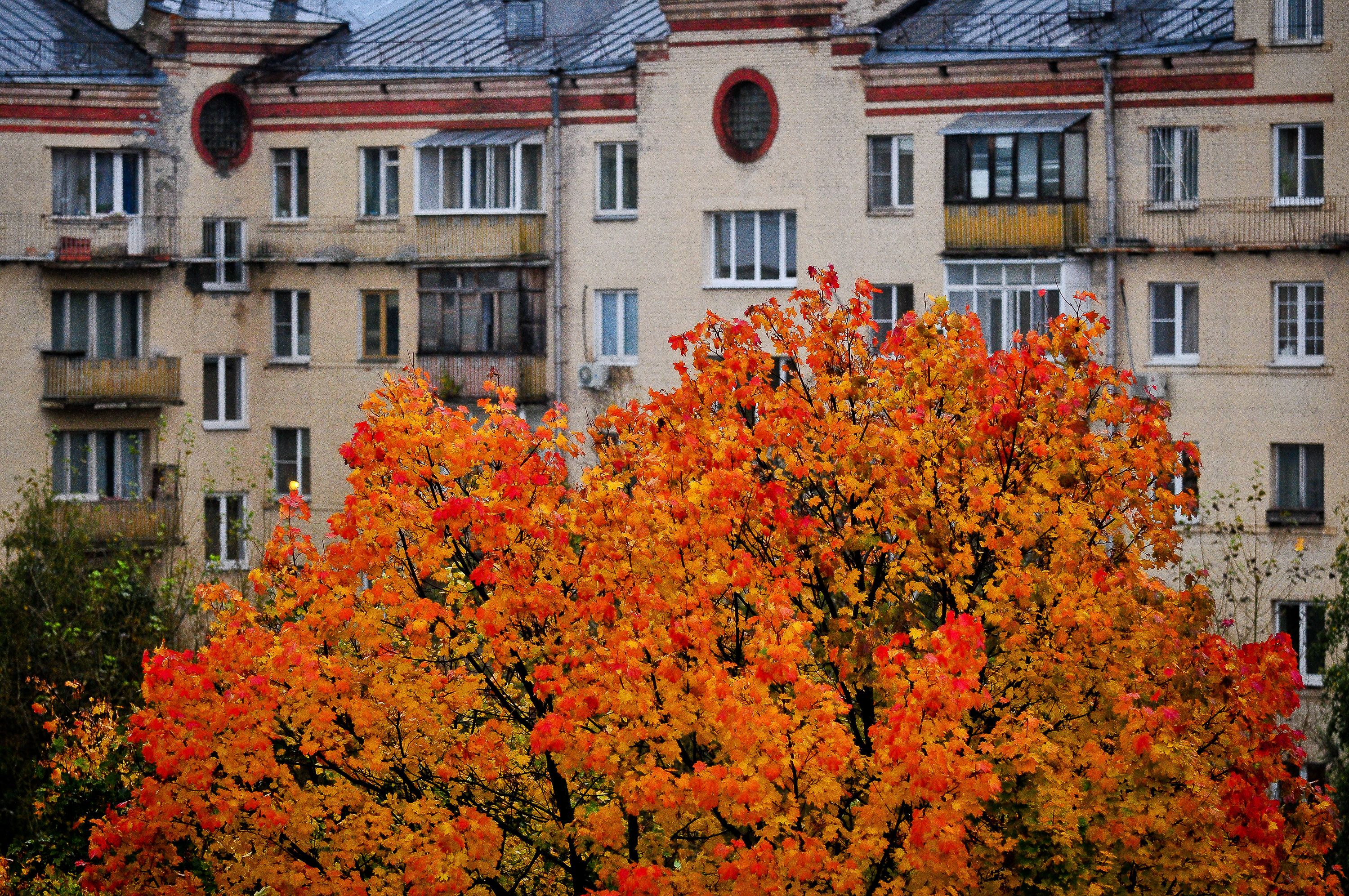 Новая волна потепления придет в Москву 22 октября
