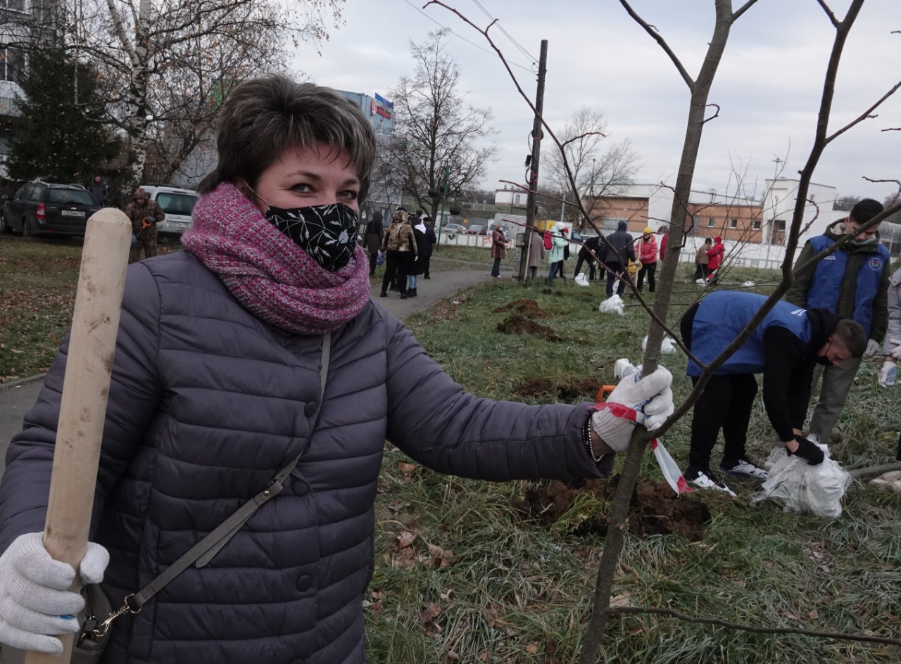 Высажено 75 деревьев. Фото: администрация поселения Московский