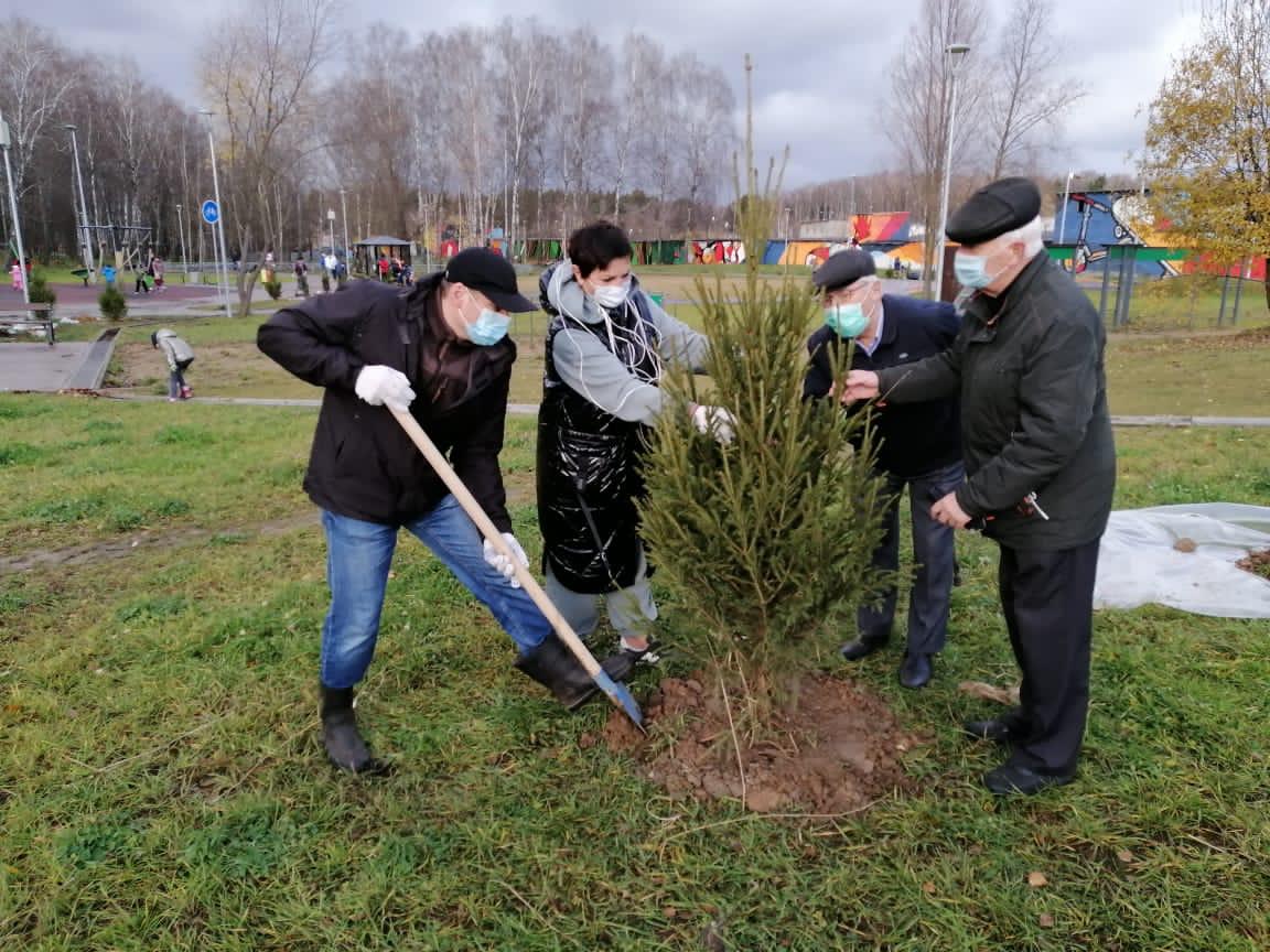 Несколько десятков деревьев высадили в Десеновском
