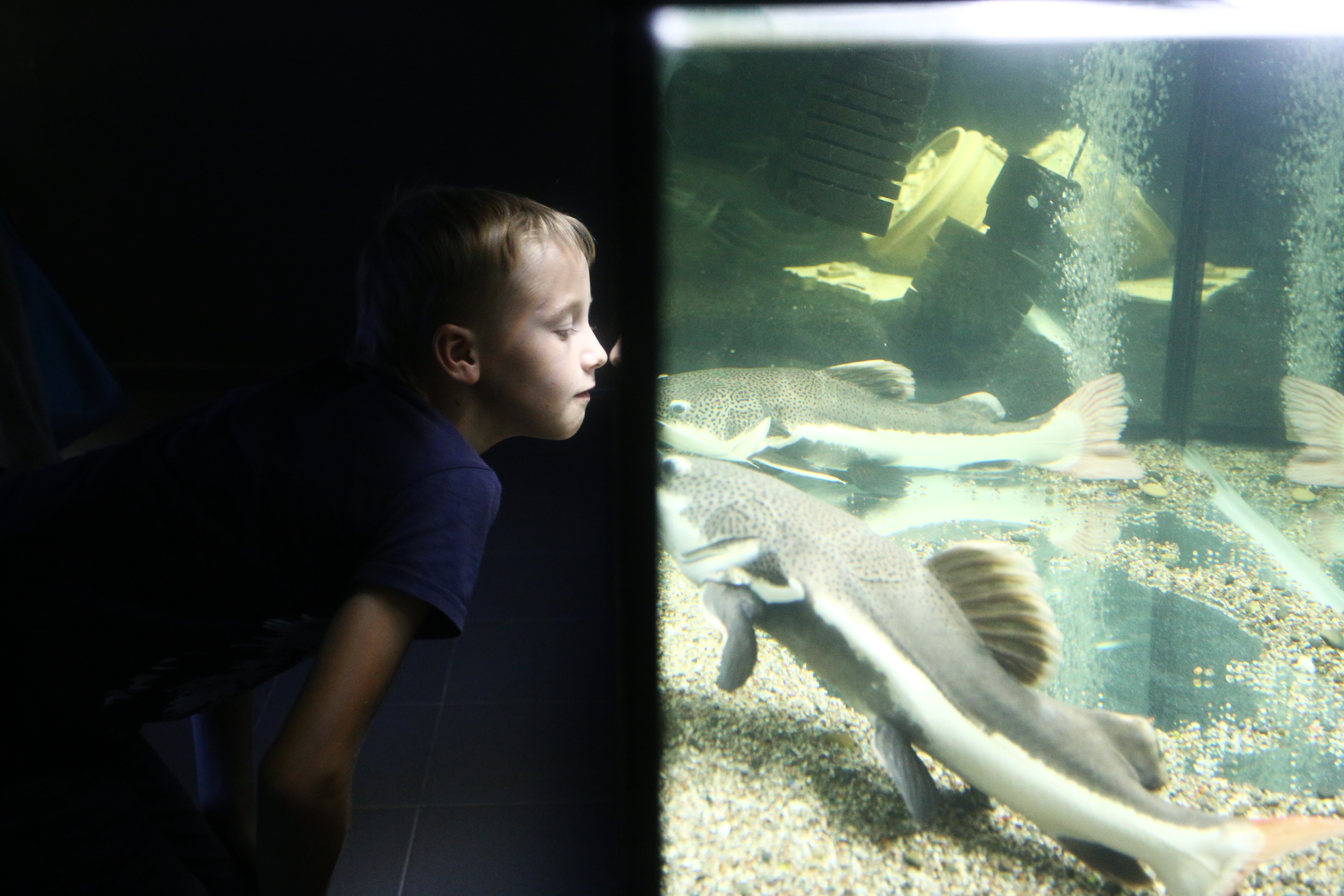 Аквариум с рыбами появился в Филимонковском детском доме-интернате «Солнышко»