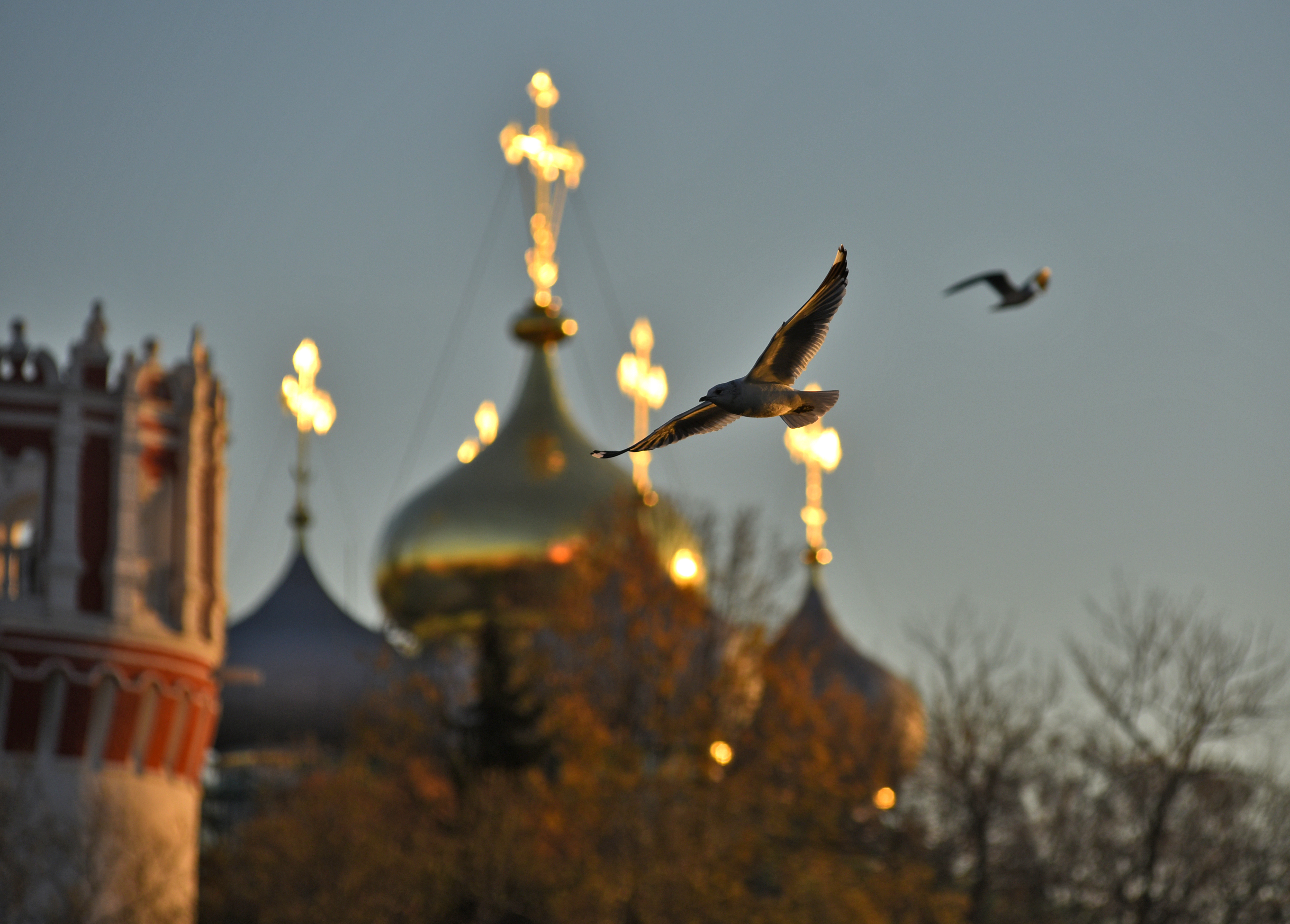 Москвичей ждет теплая погода в День народного единства