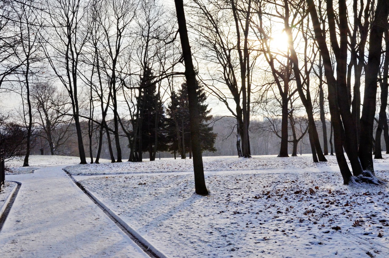 Москвичам пообещали снег и три градуса мороза в воскресенье