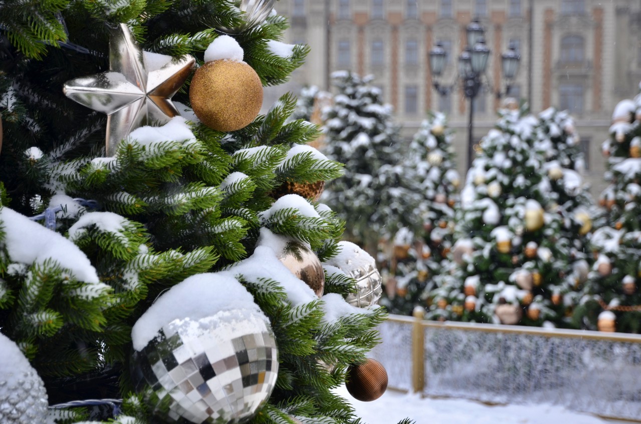 Жителям Москвы пообещали морозы и сугробы к Новому году