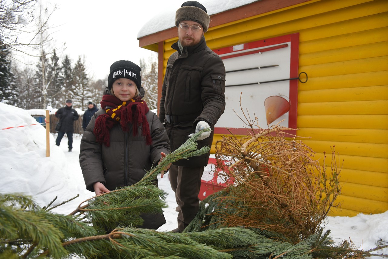 Свыше 500 пунктов для сдачи новогодних елок организуют в Москве