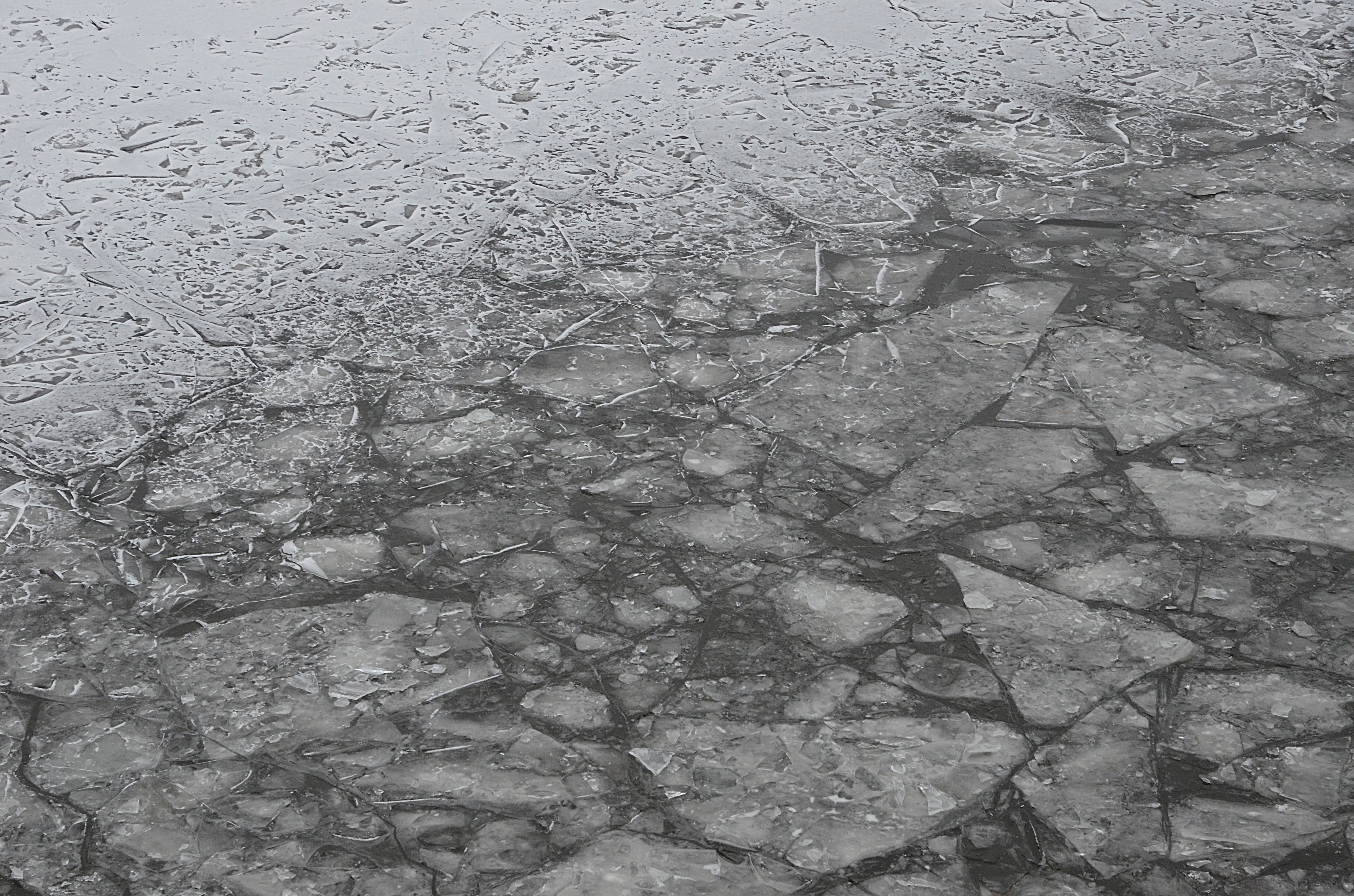 Специалисты измерили параметры твердого льда на водоеме в поселении Щаповское. Фото: Анна Быкова