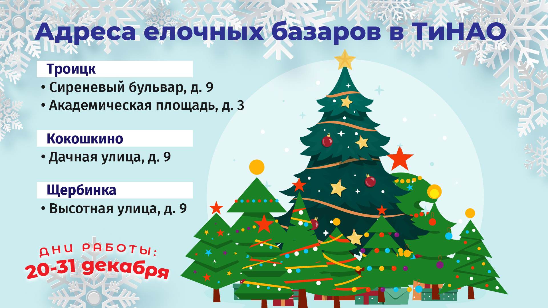 Жители Новой Москвы смогут купить елку на новых базарах