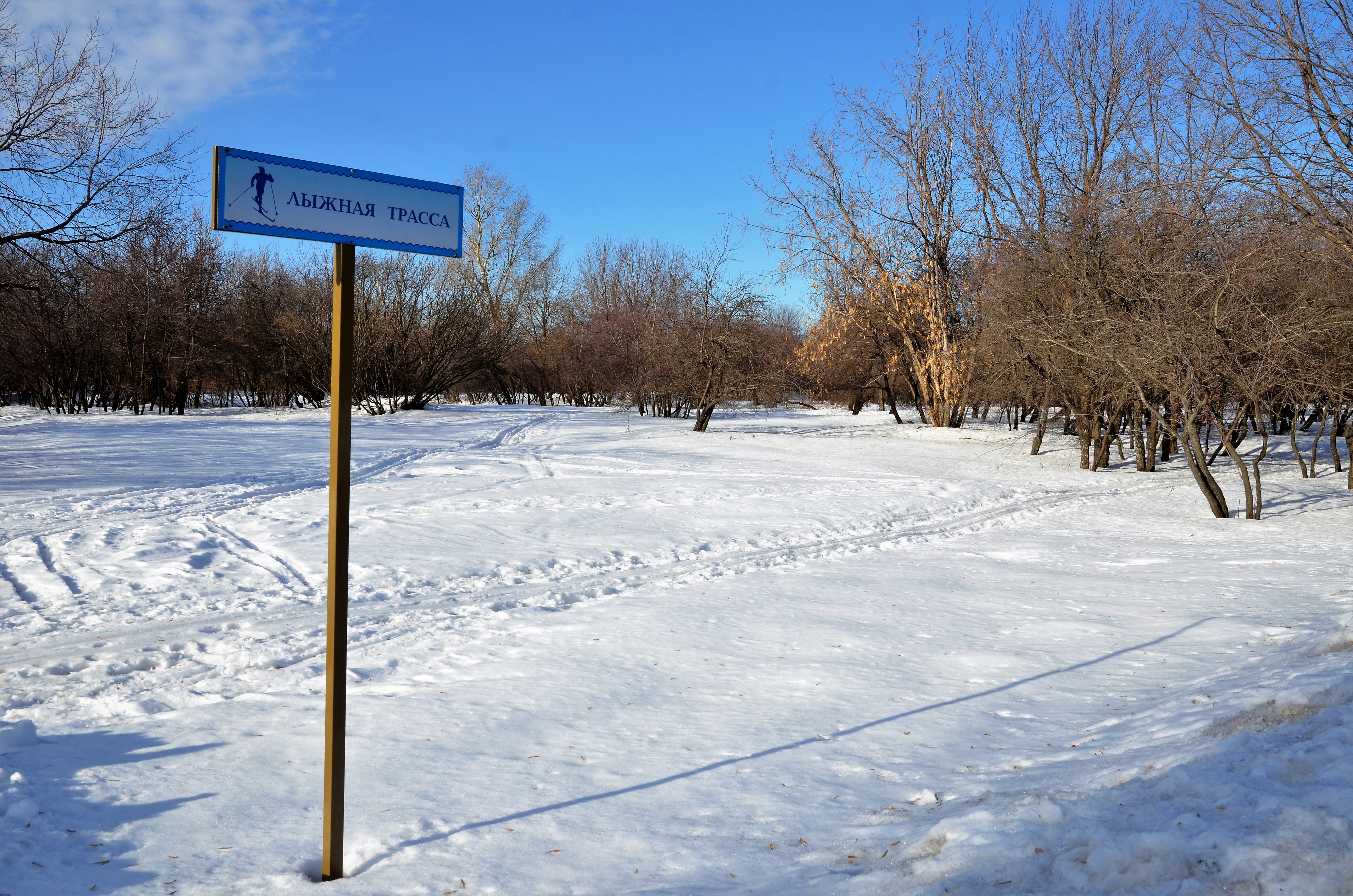 Лыжную трассу обустроят в поселении Роговское. Фото: Анна Быкова