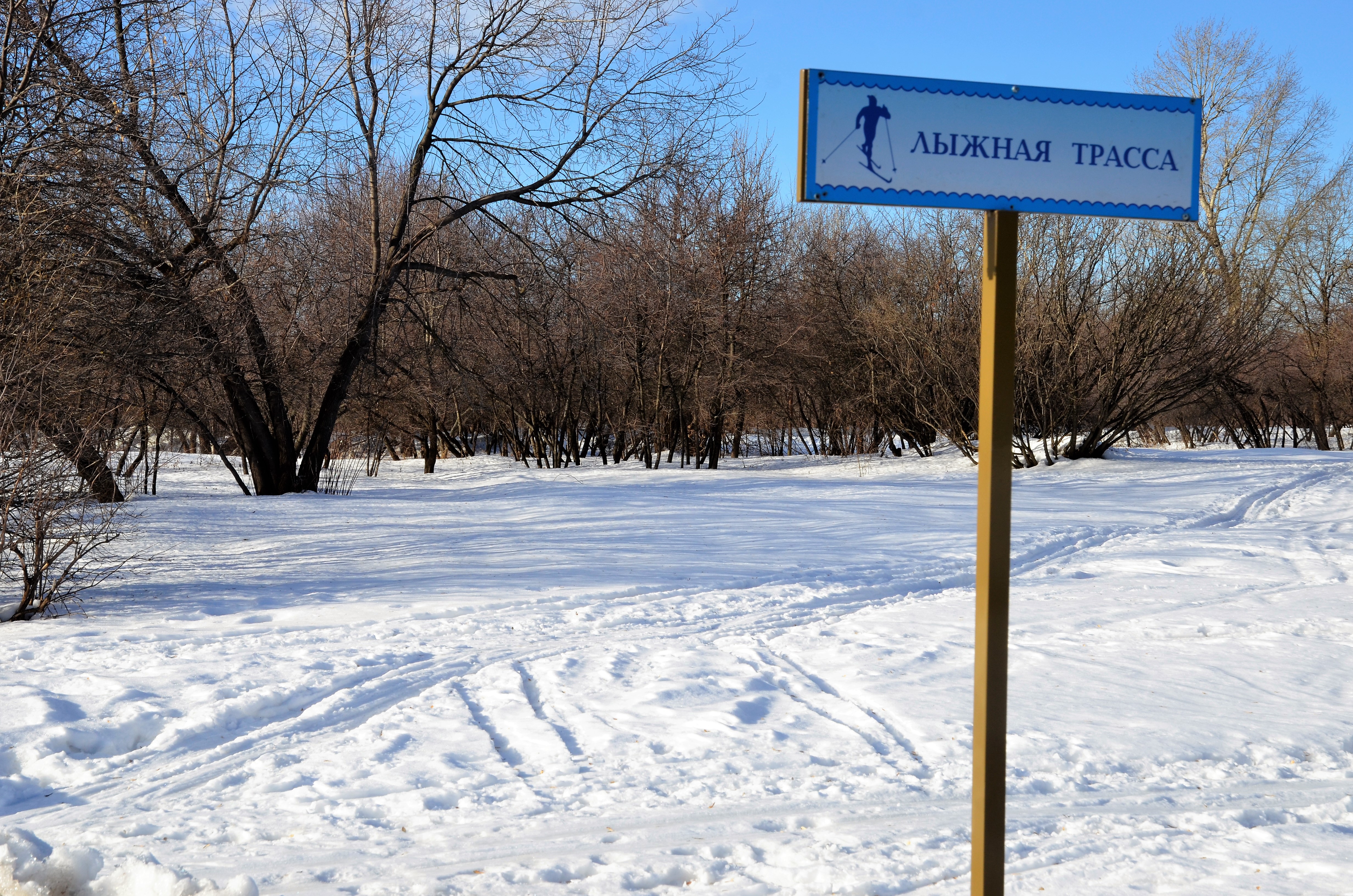 Лыжную трассу обустроили в Десеновском. Фото: Анна Быкова