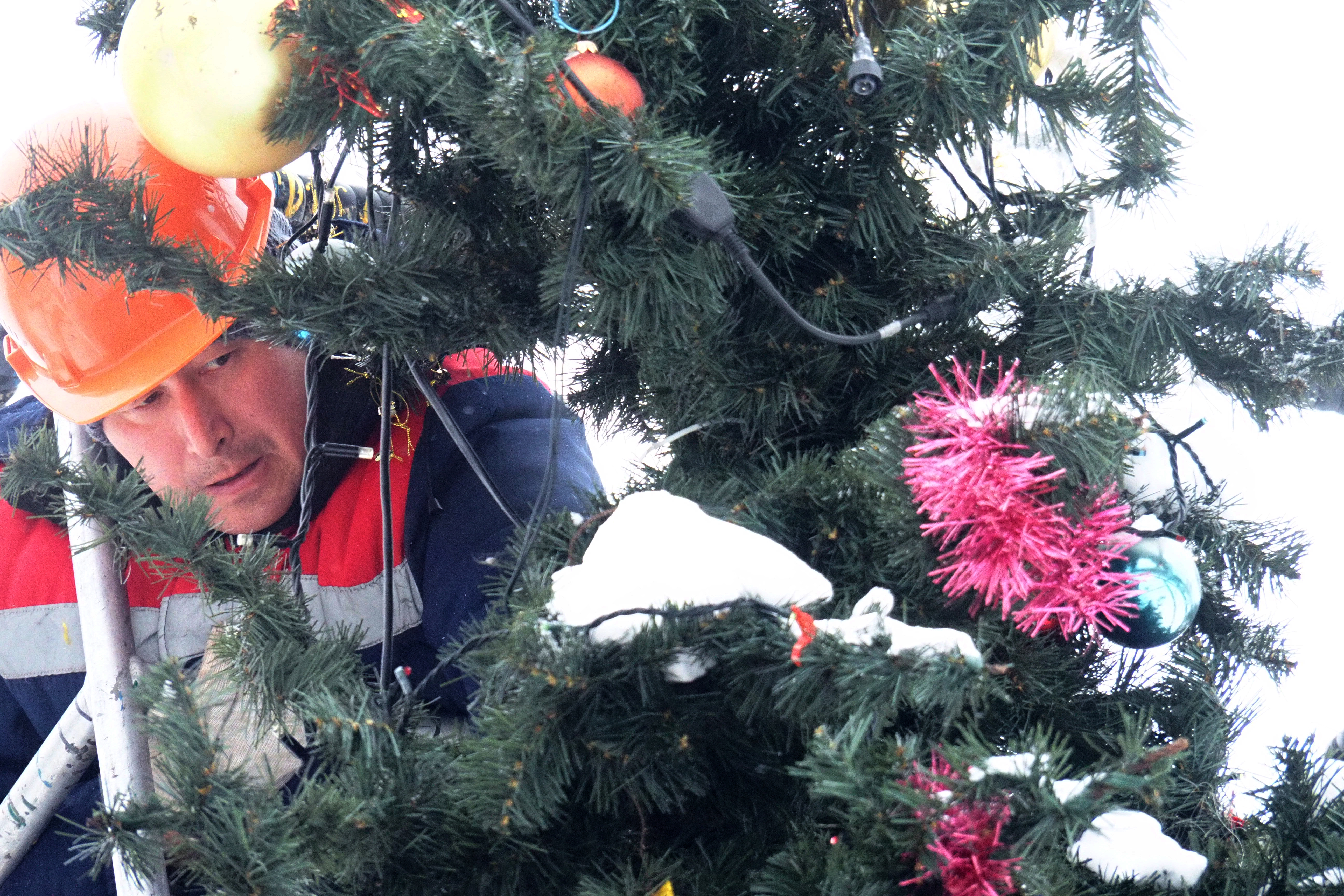 Специалисты проведут демонтаж новогодней ели в Роговском. Фото: Павел Волков «Вечерняя Москва»