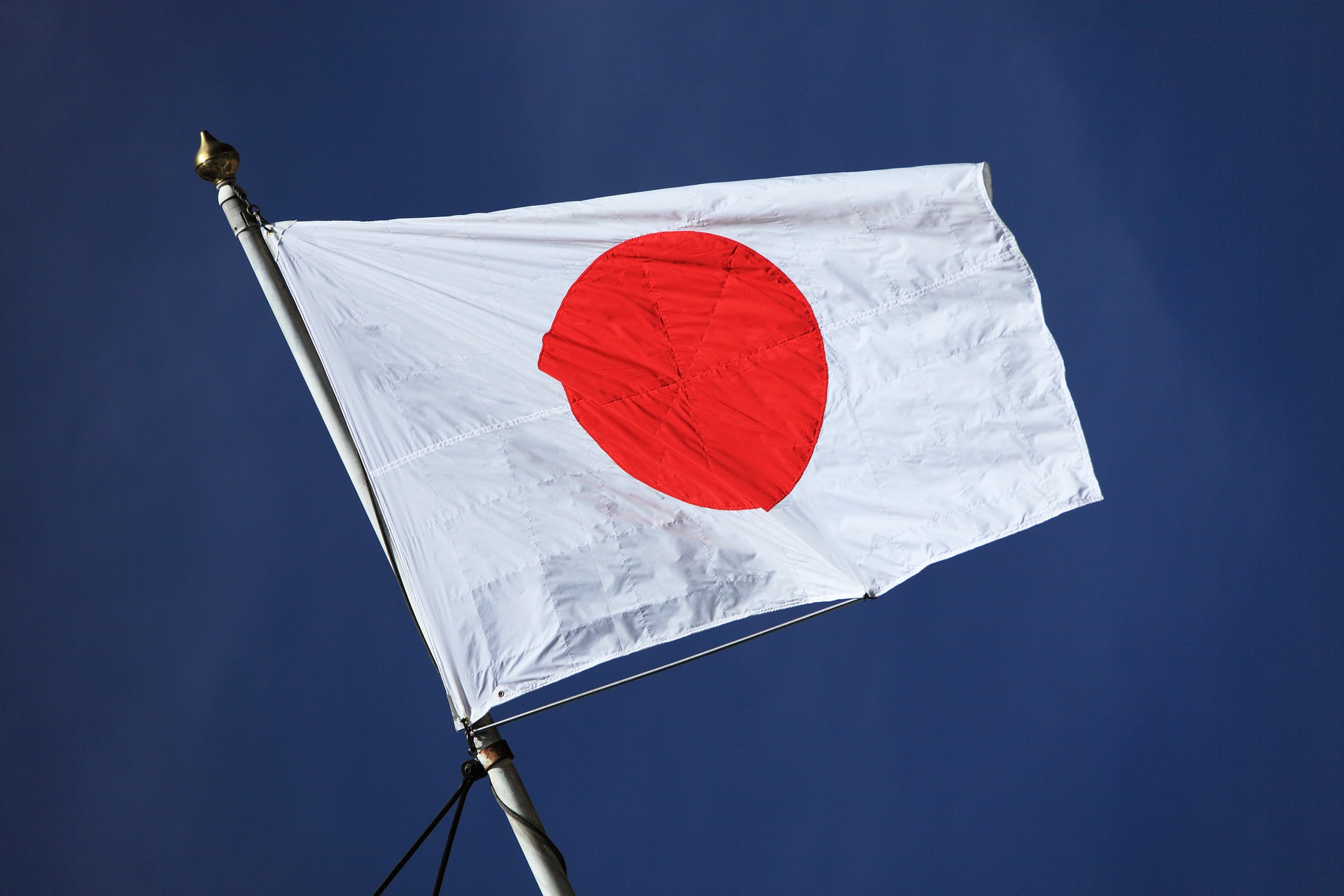 Власти Японии заявили о намерении выбросить часть закупленной вакцины Pfizer. Фото: pixabay.com