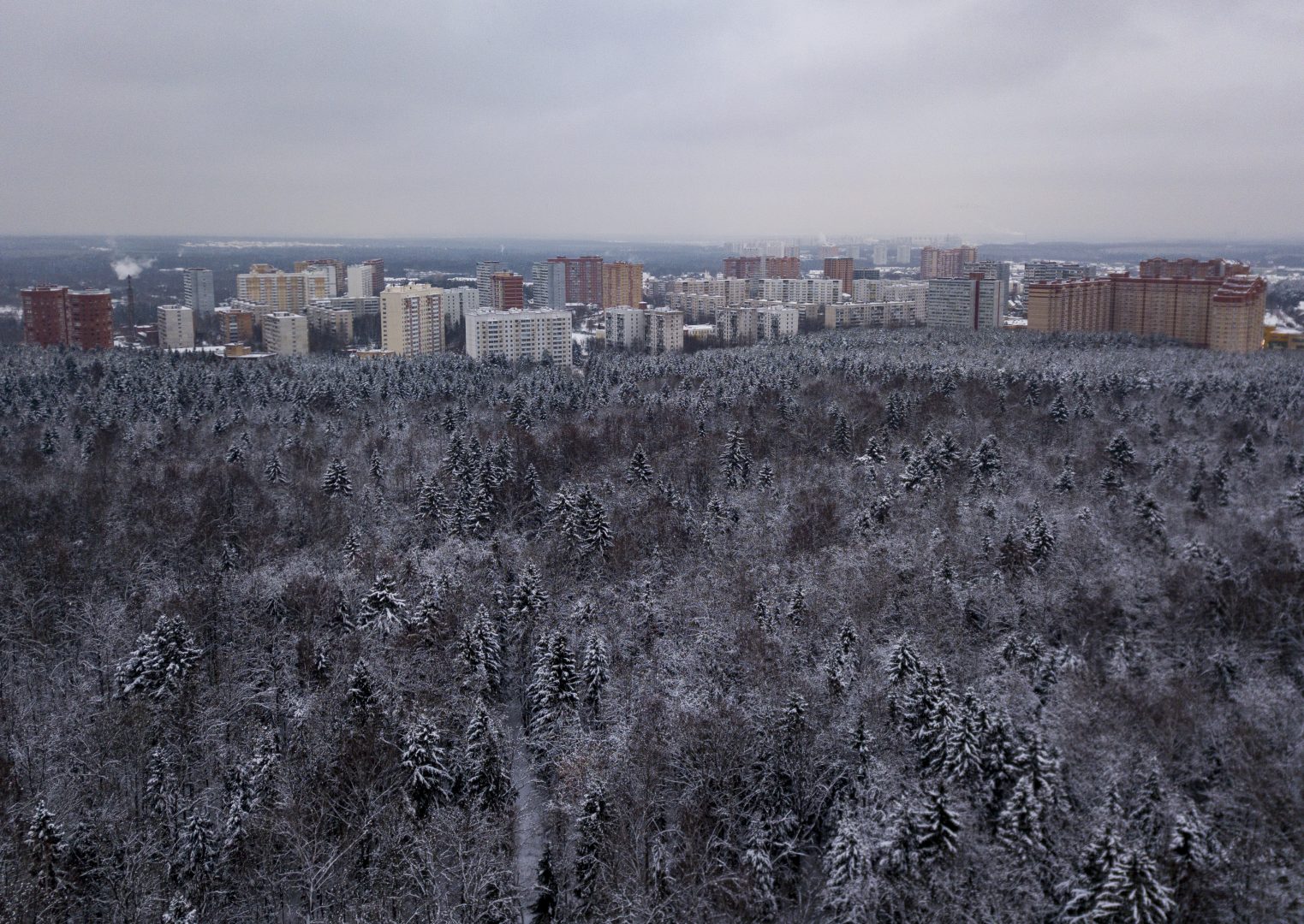Новый раздел появился на портале «Наш город». Фото: Александр Кожохин, «Вечерняя Москва»