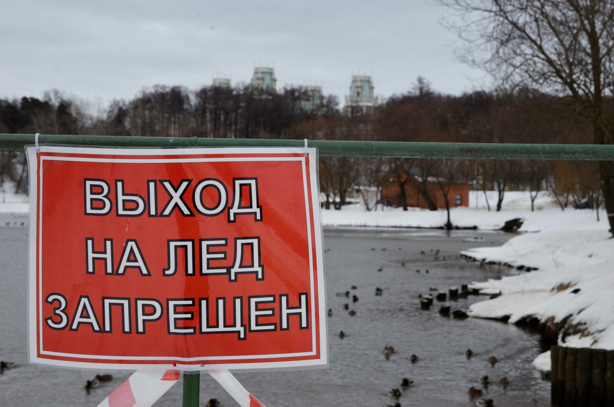 Специалисты проверили водоемы в Новофедоровском. Фото: Анна Быкова