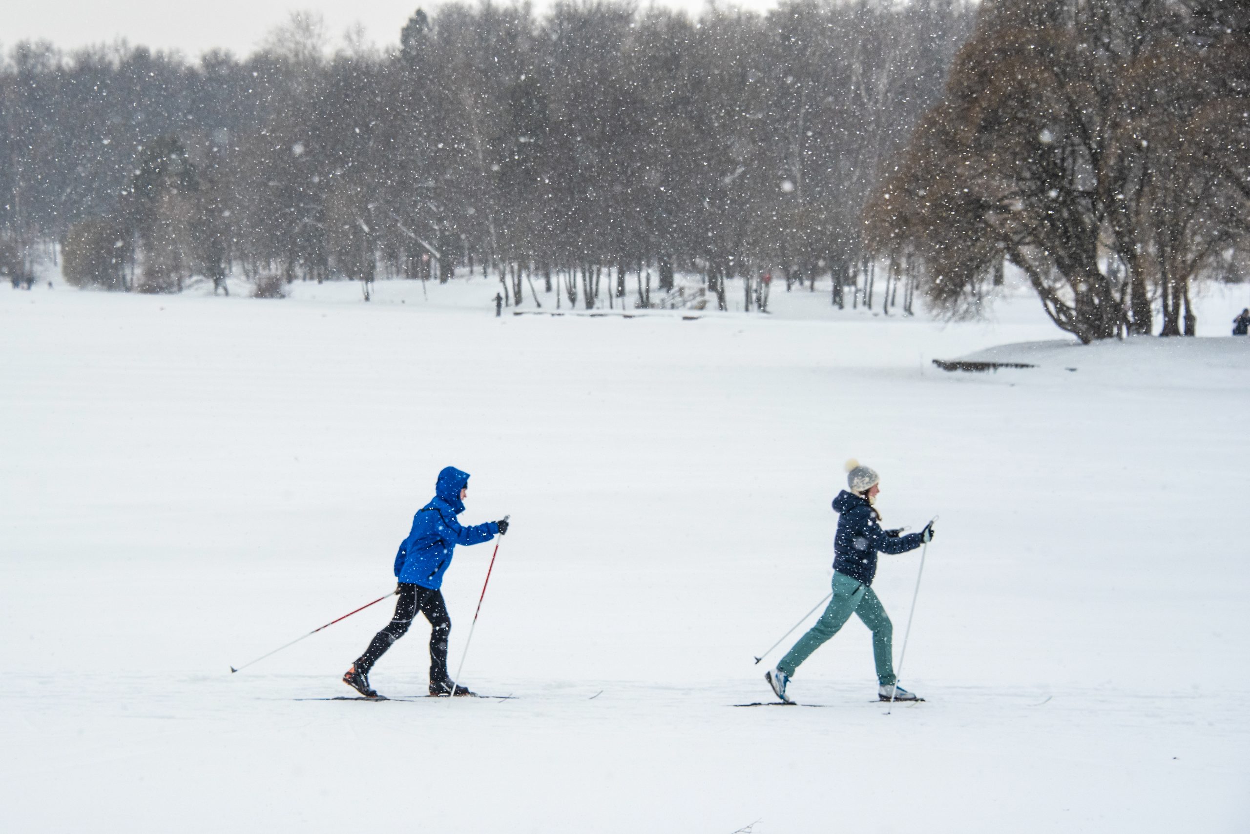Регистрацию на соревнования «Горячая лыжня» завершили в поселении Кленовское