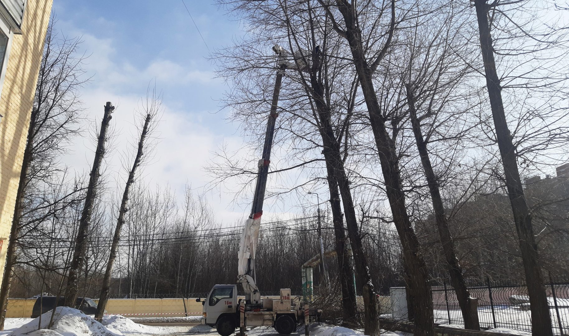 Омолаживающая обрезка деревьев началась в поселении Рязановское. Фото: предоставили сотрудники администрации
