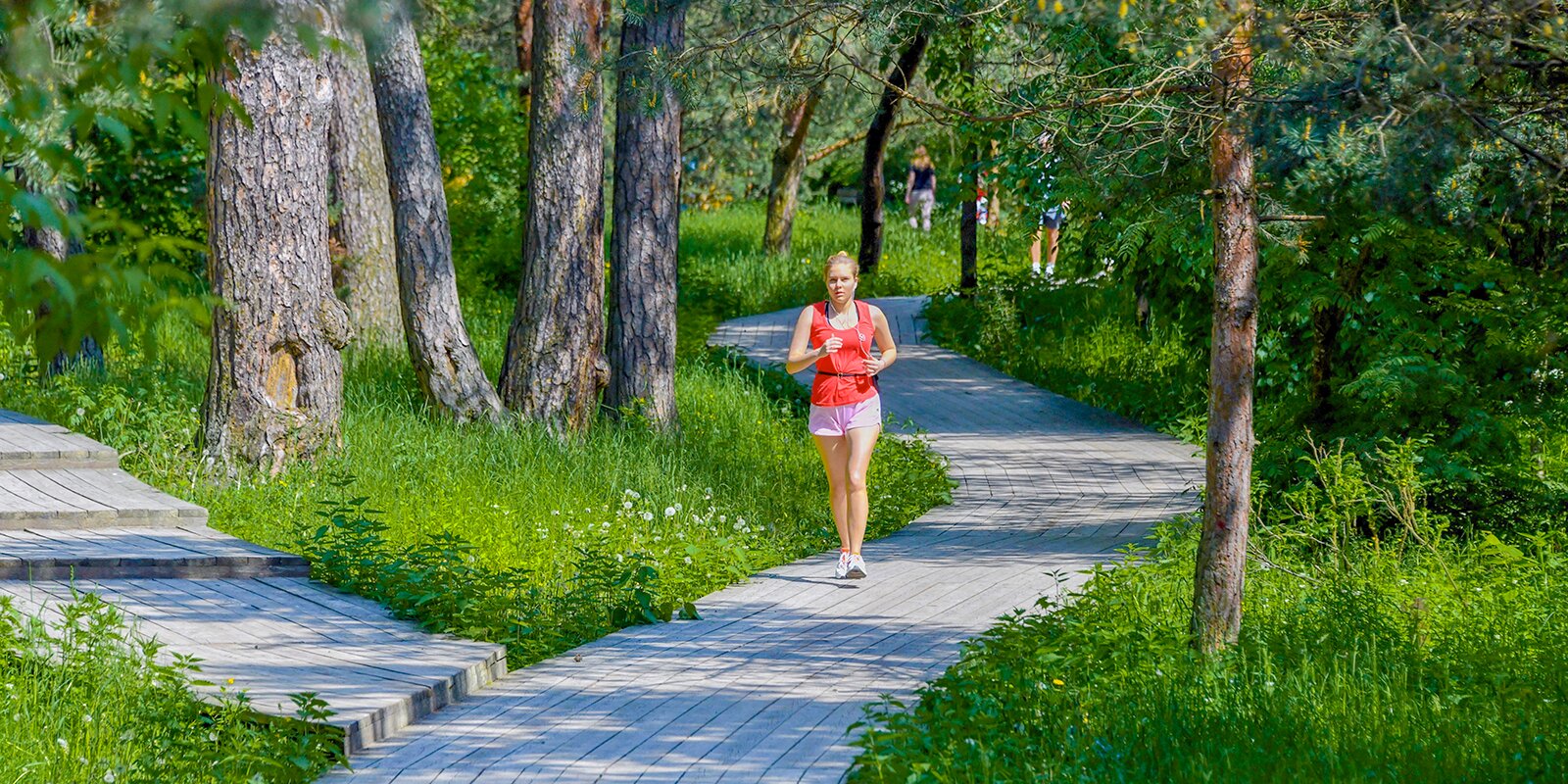 Жители Москвы смогут заняться спортом и одновременно помочь природе. Фото: сайт мэра Москвы