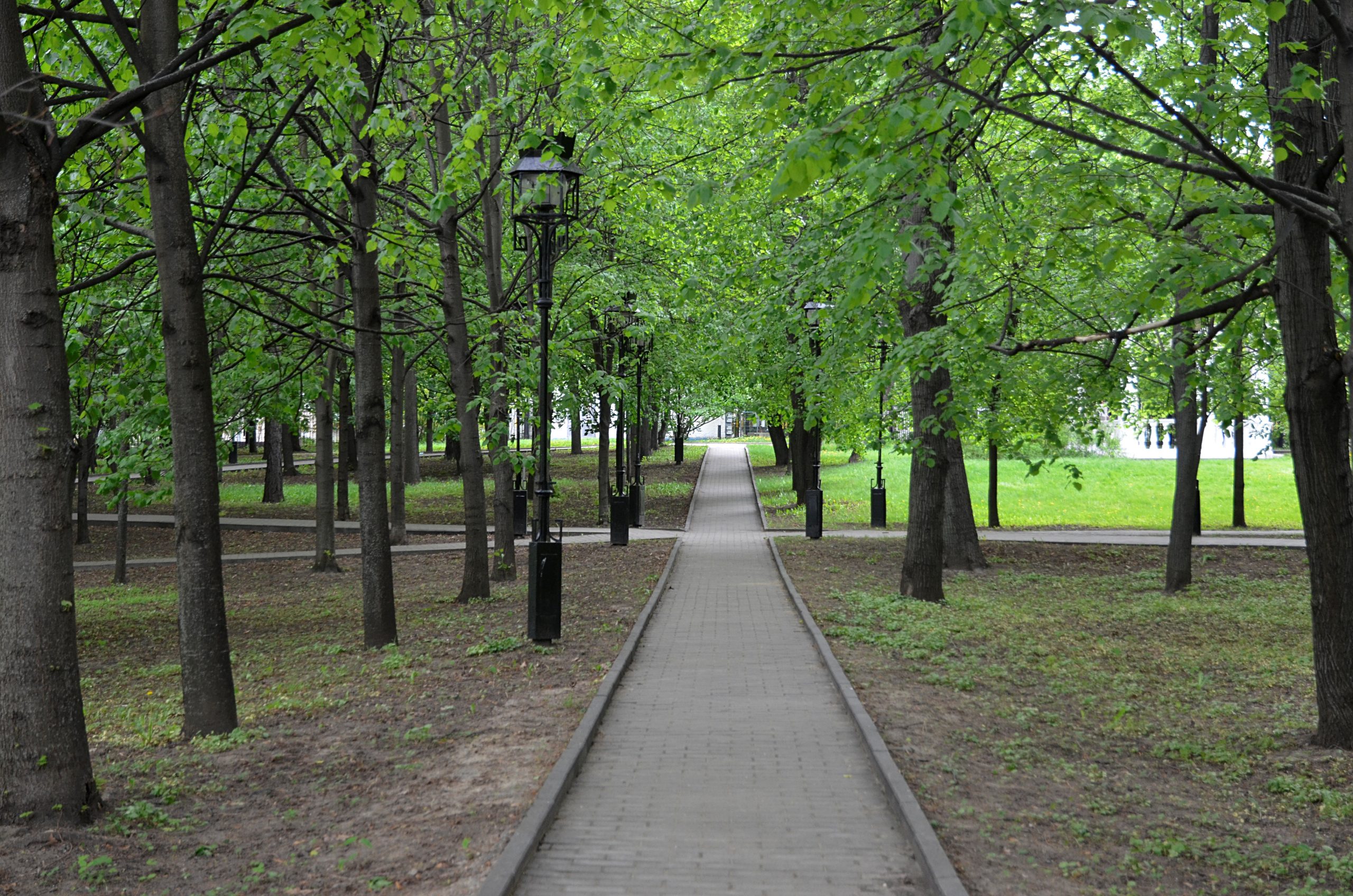 Более 200 гектаров парковых пространств появится в Новой Москве