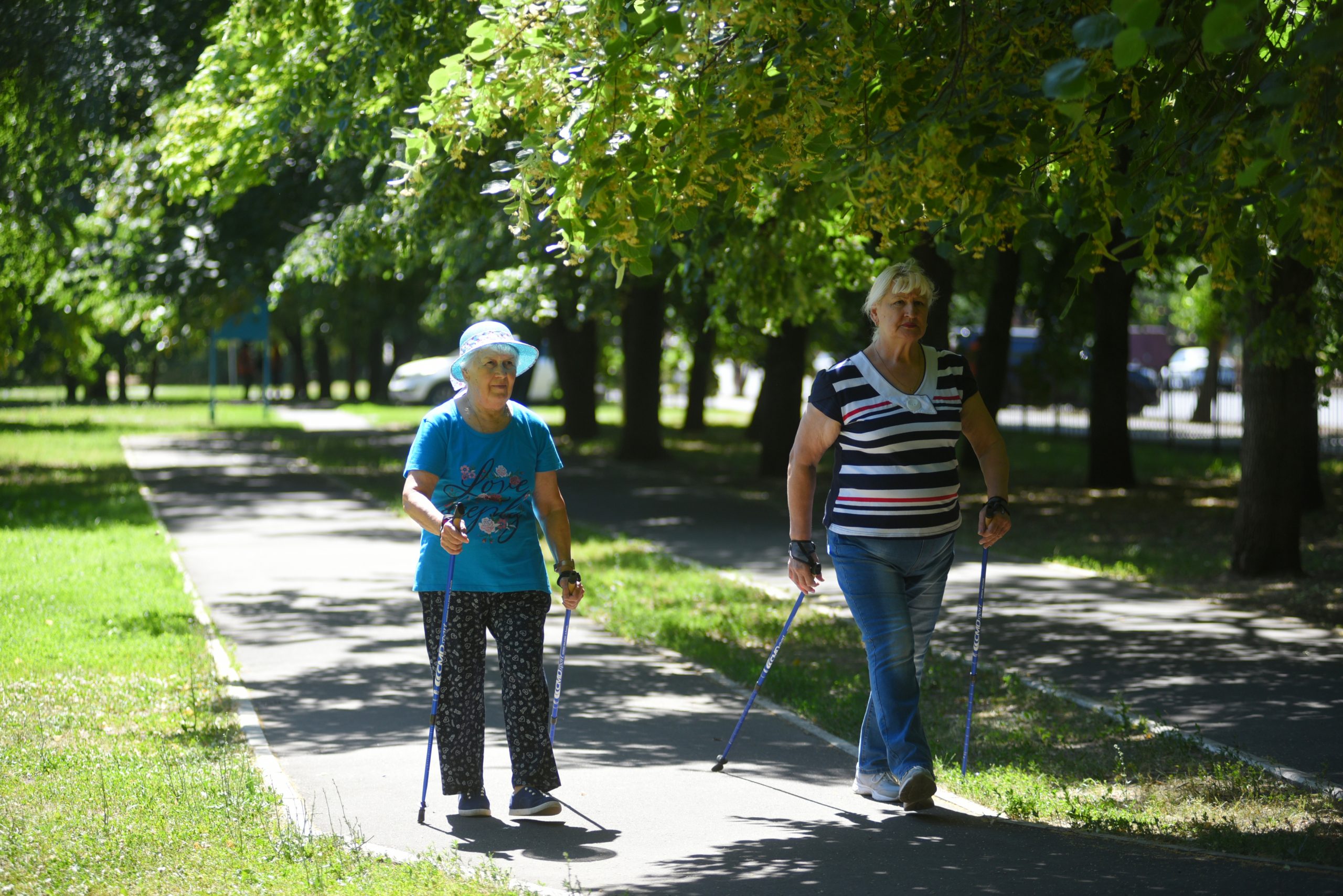 Тренировки по скандинавской ходьбе снова проходят на свежем воздухе в рамках проекта «Московское долголетие»