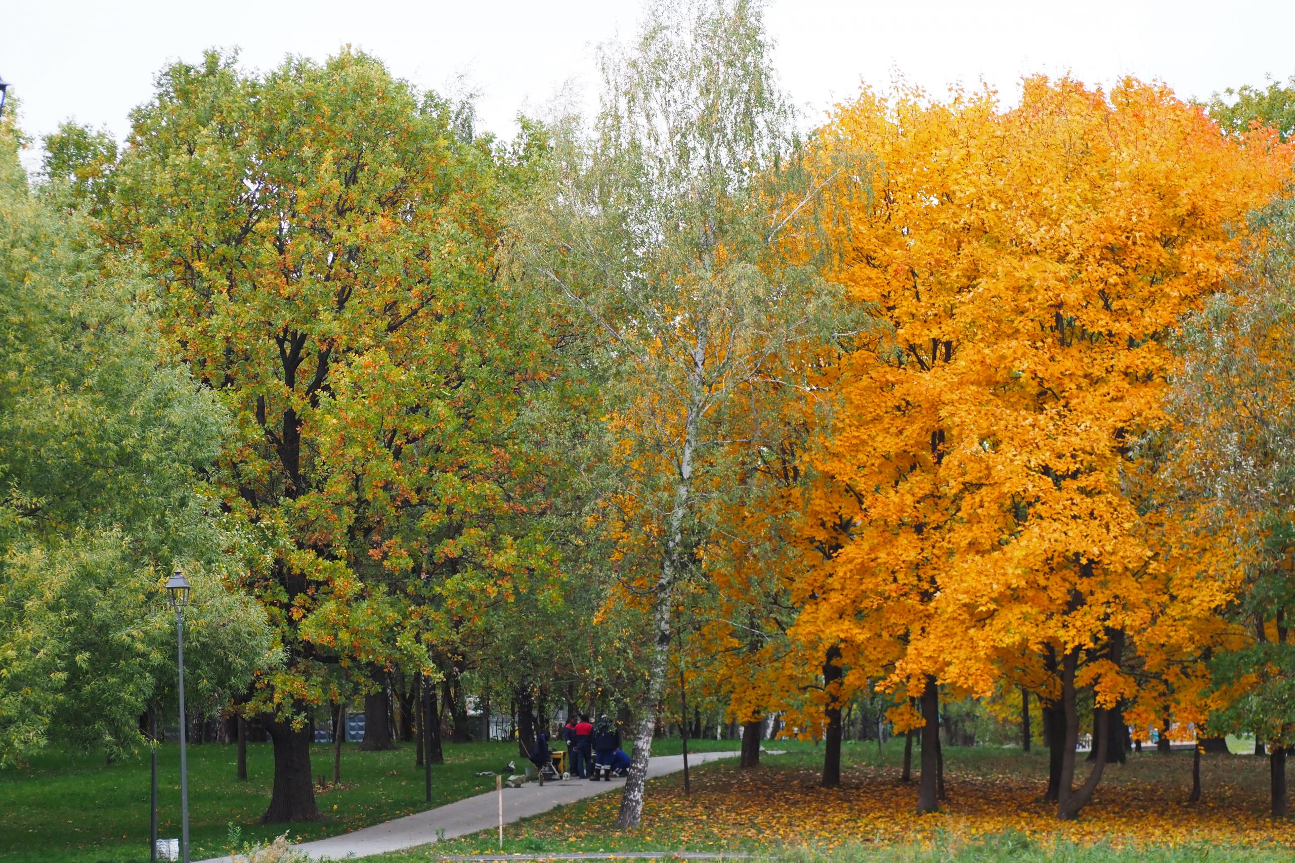 Жителям Новой Москвы рассказали о благоустроенных пространствах для прогулок