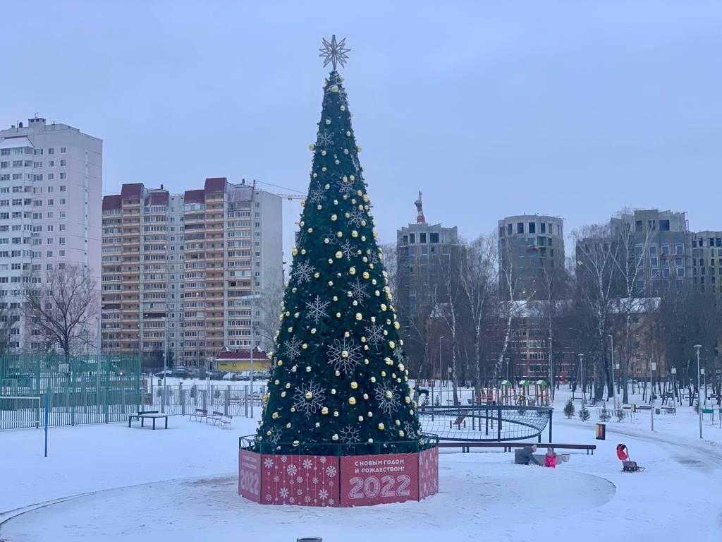 Новогодняя елка главы состоится в поселении Десеновское