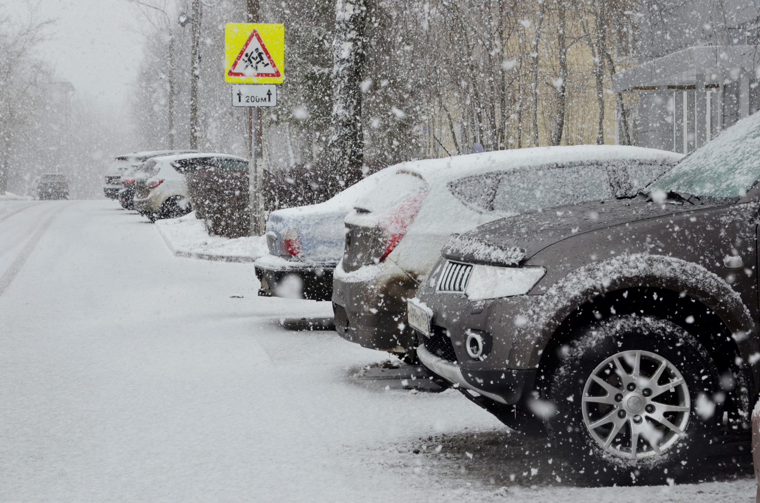 Тестовую вариацию приложения «Парковки Москвы» введут в работу в Санкт-Петербурге. Фото: Анна Быкова
