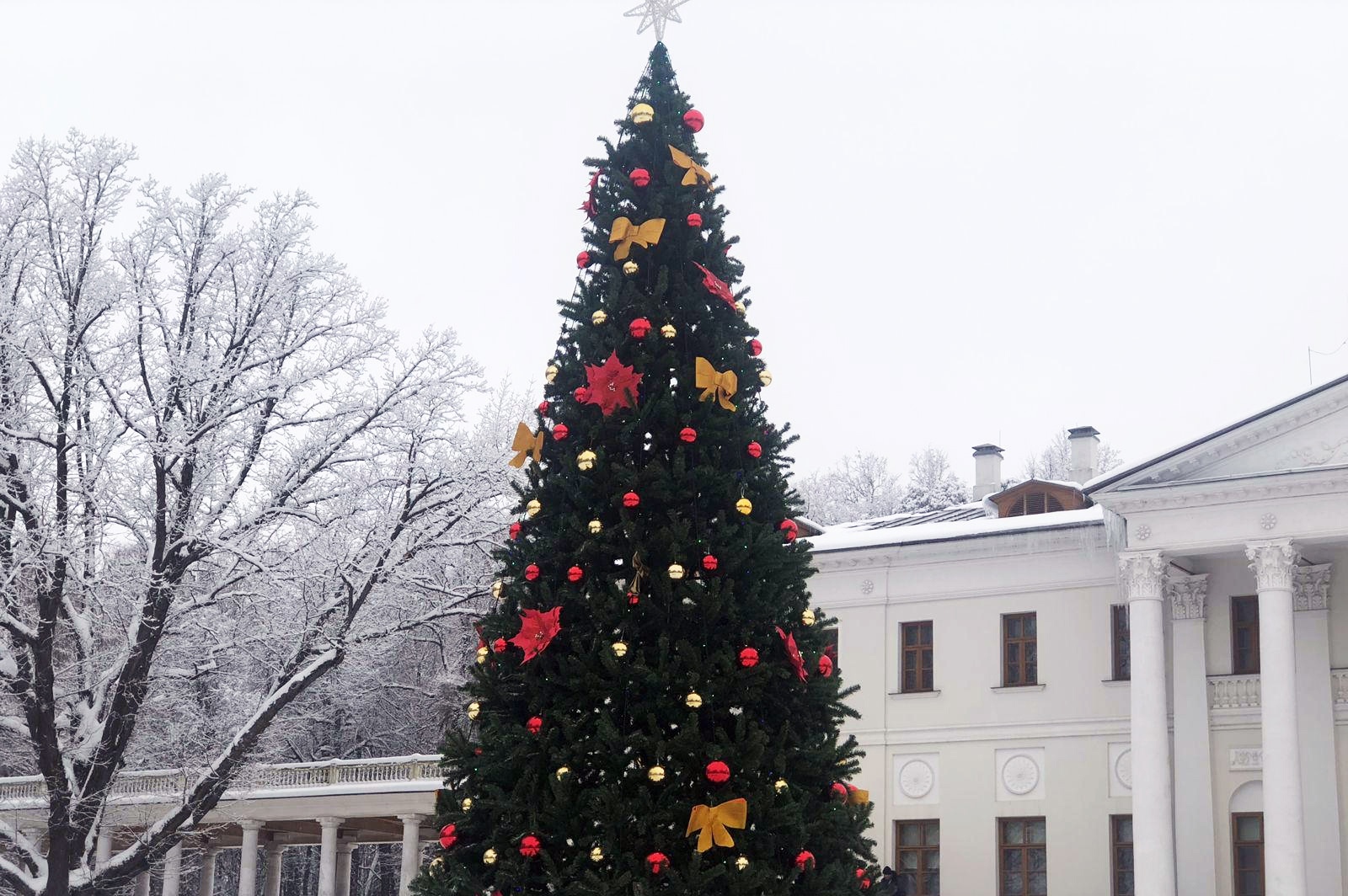 Новогодняя елка украсила музей-усадьбу «Остафьево» в Рязановском
