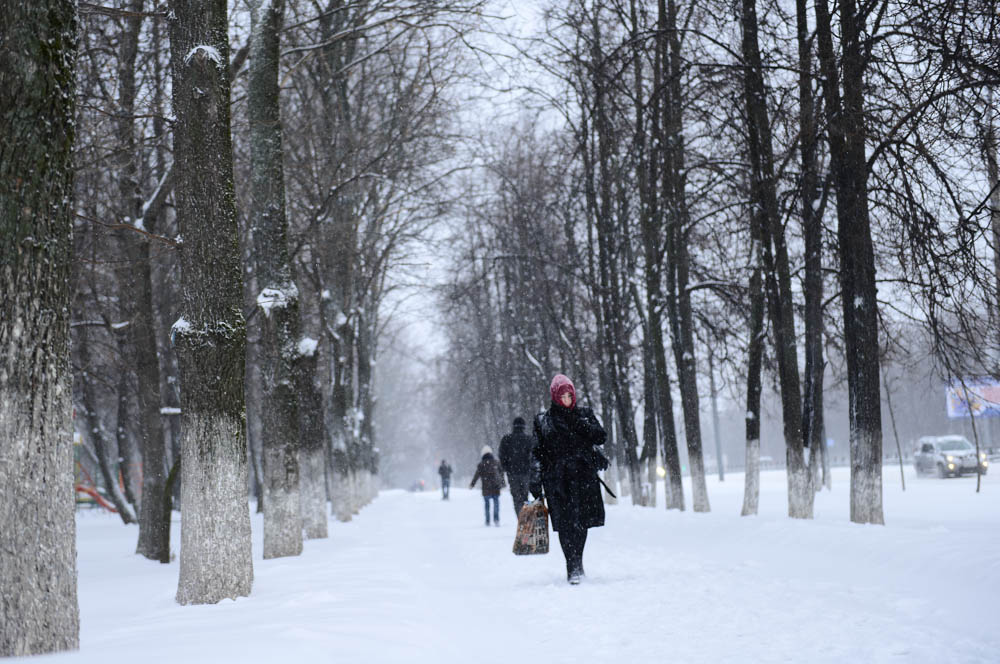 При облачной погоде ожидается снег. Фото: Наталья Феоктистова, «Вечерняя Москва»