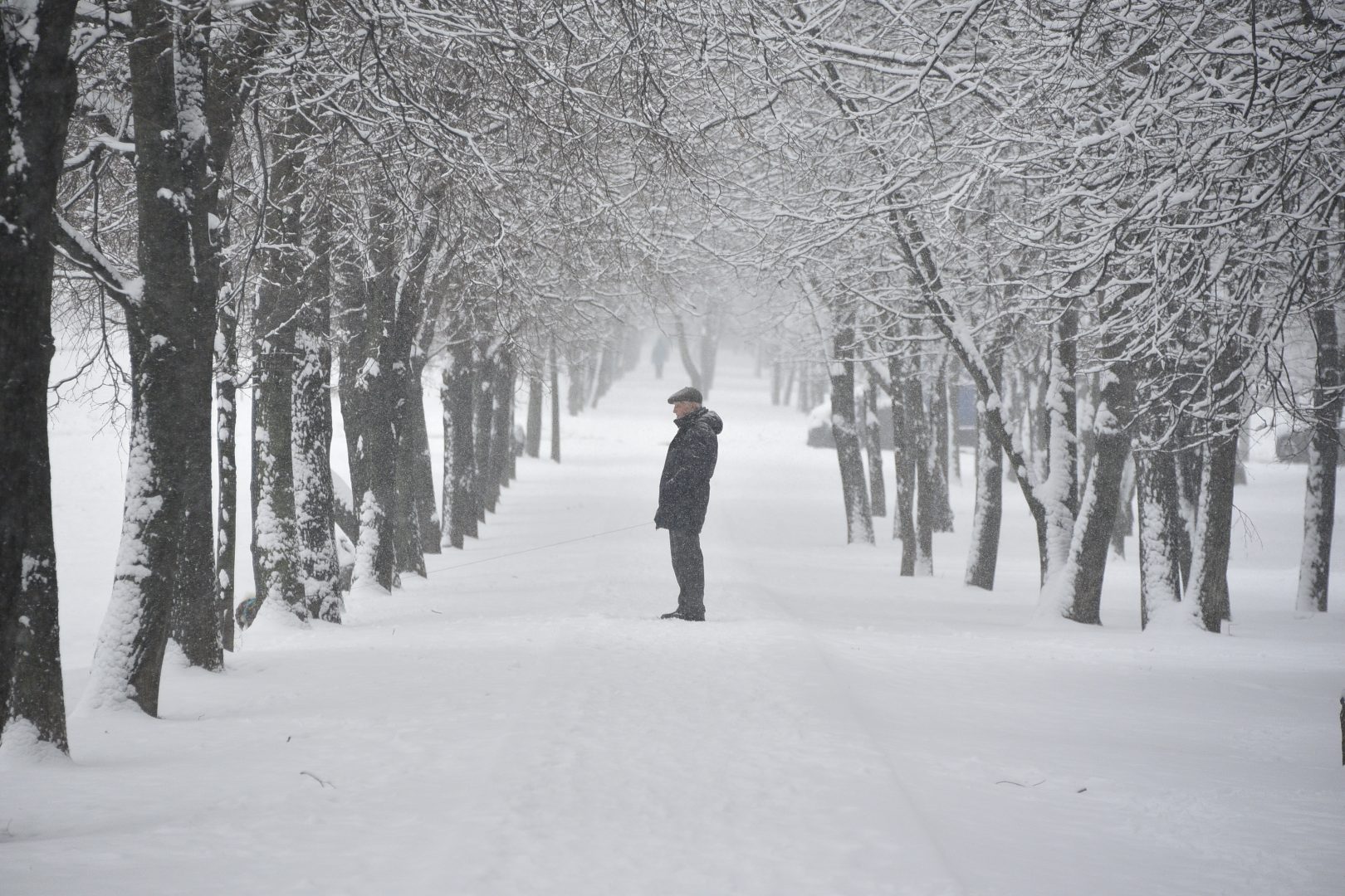 В первой декаде февраля температура воздуха будет немного выше положенного. Фото: Анна Быкова, «Вечерняя Москва»