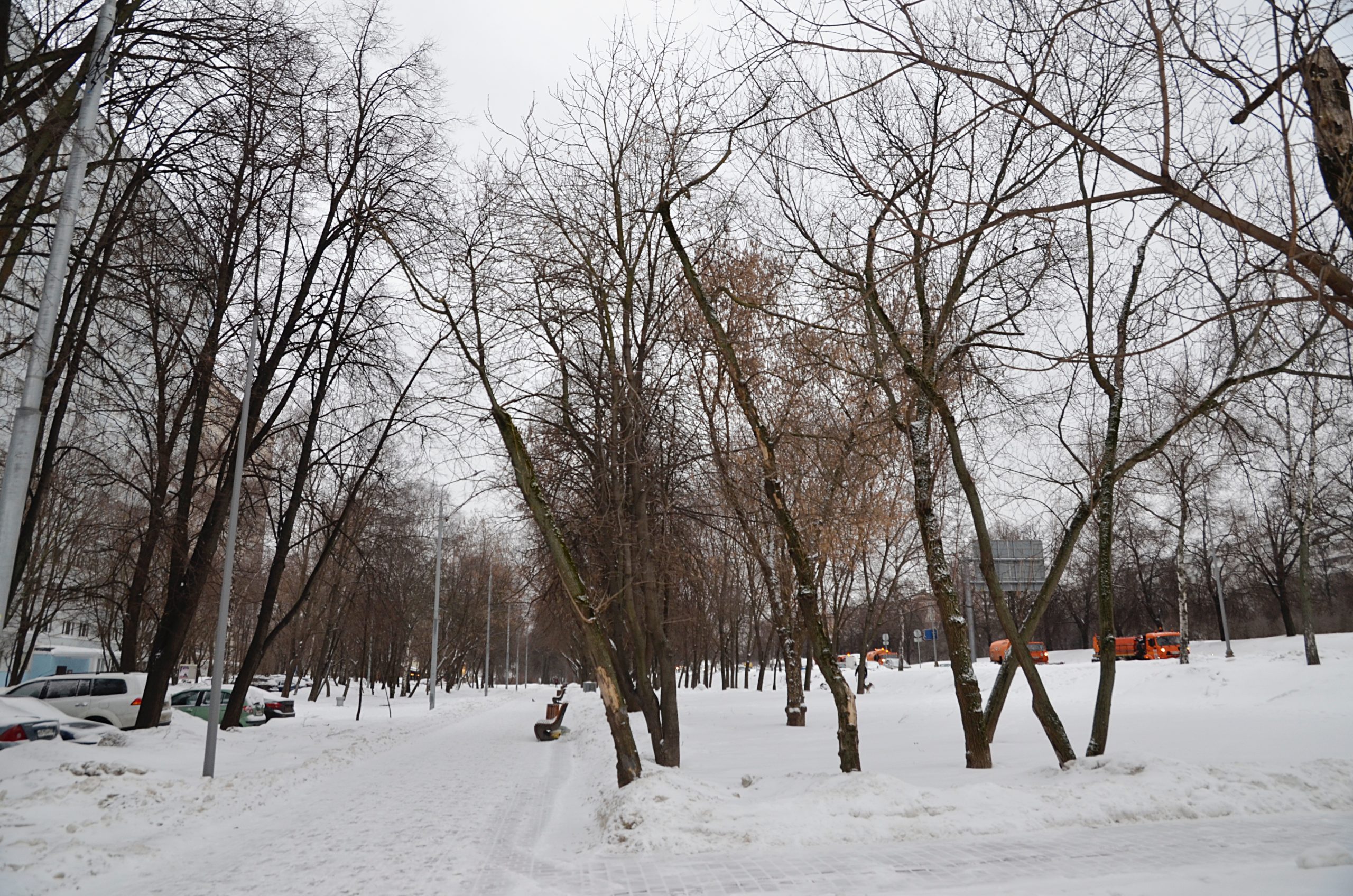 Жителям Москвы рассказали о погоде в День защитника Отечества