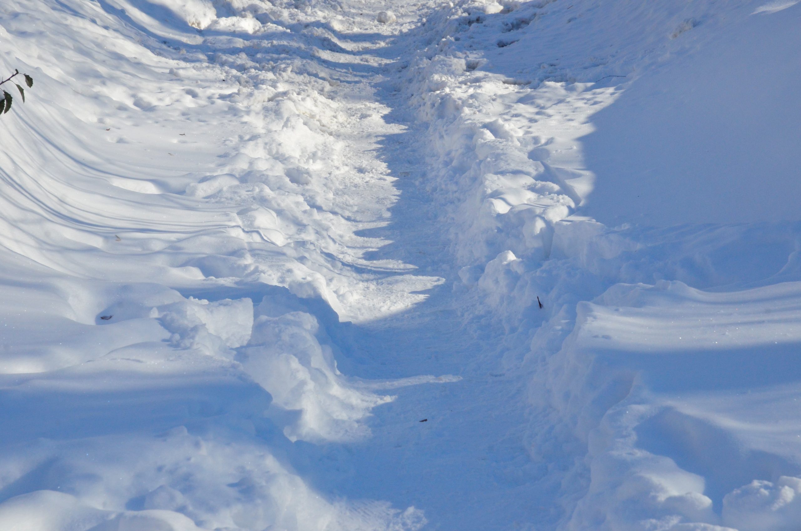 Снега много не бывает: за январский месяц в Москве выпало 59 миллиметров осадков