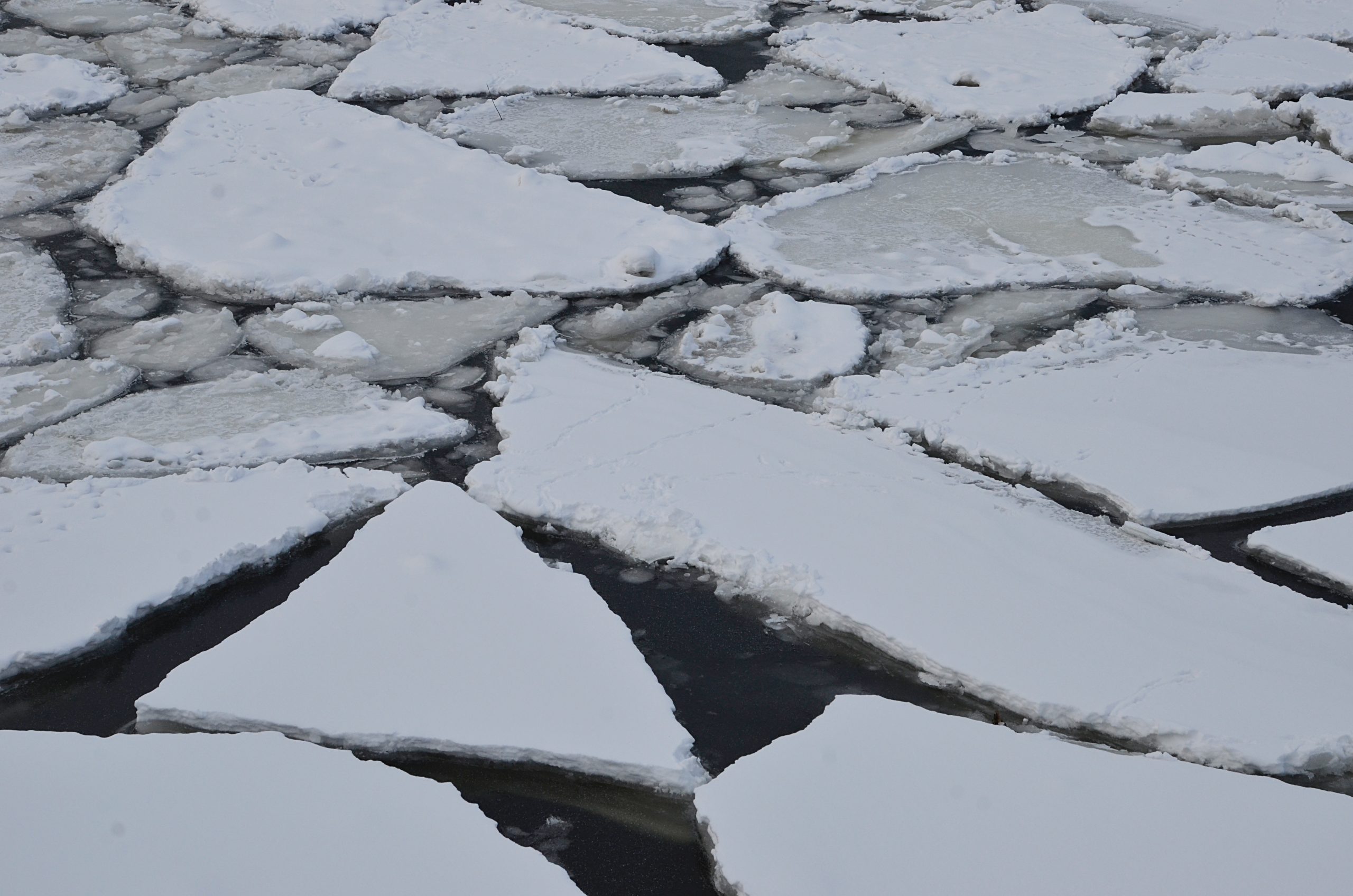 Жителей Десеновского проинструктировали о безопасности на льду