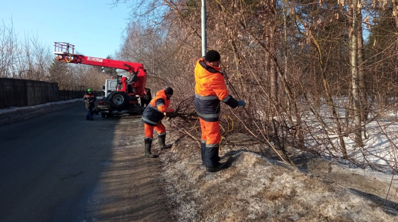 Работы по удалению сухих и аварийных деревьев завершили в Щербинке