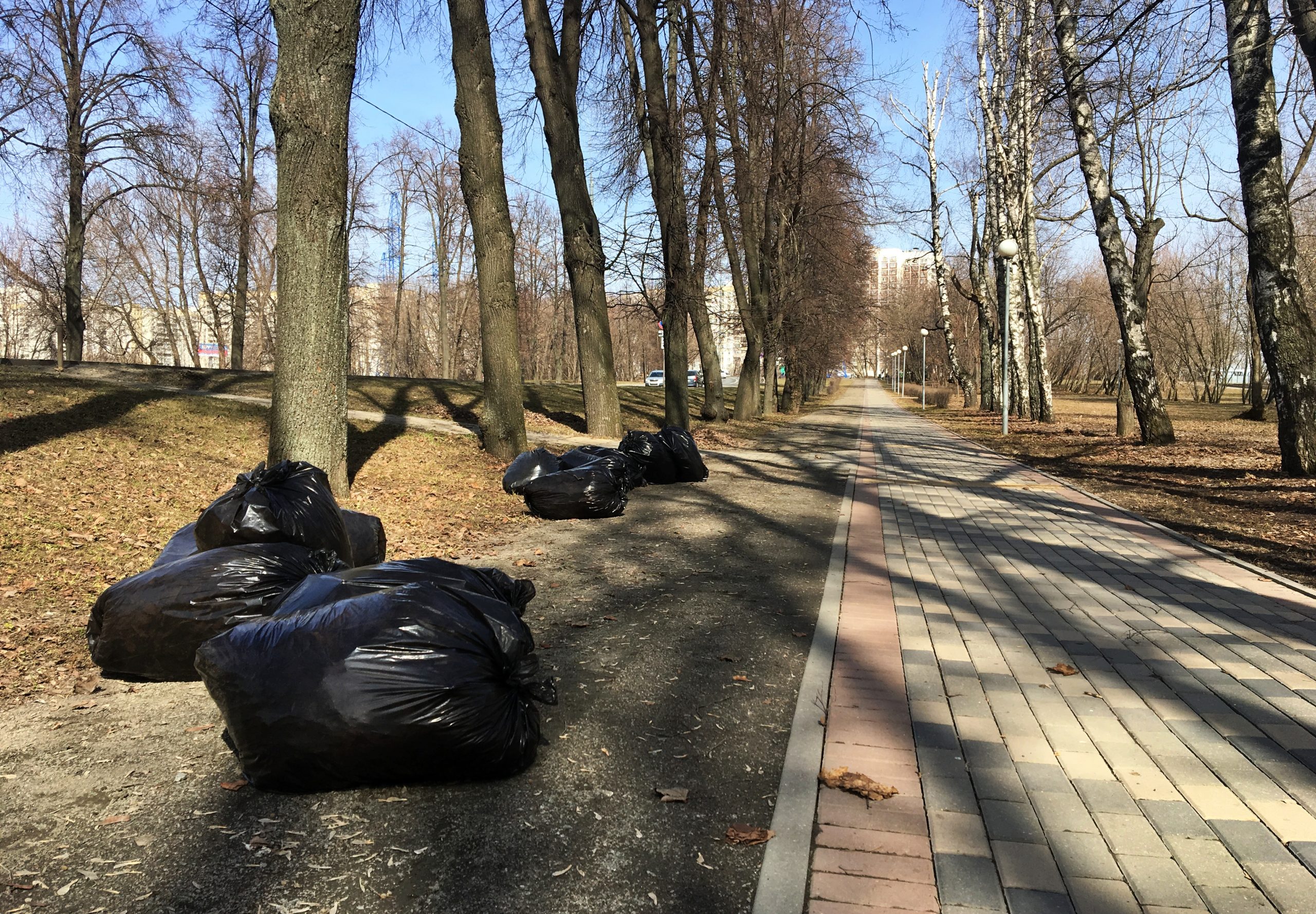 Особое внимание уделили сбору мусора, который оперативно вывозился с участков. Фото: Анна Быкова, «Вечерняя Москва»