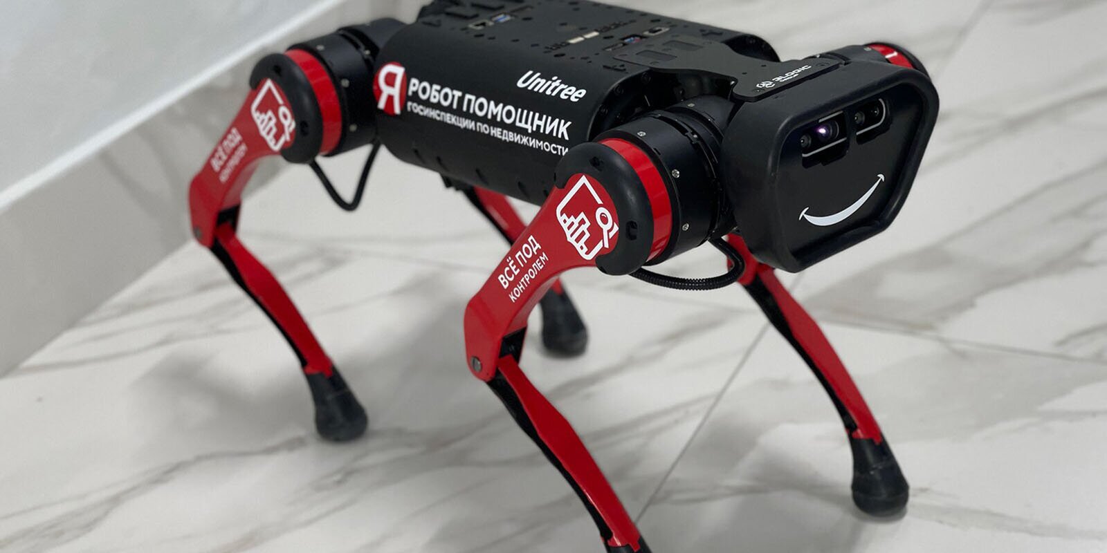 Голосование за лучшее имя для робота-собаки стартовало в «Активном гражданине»