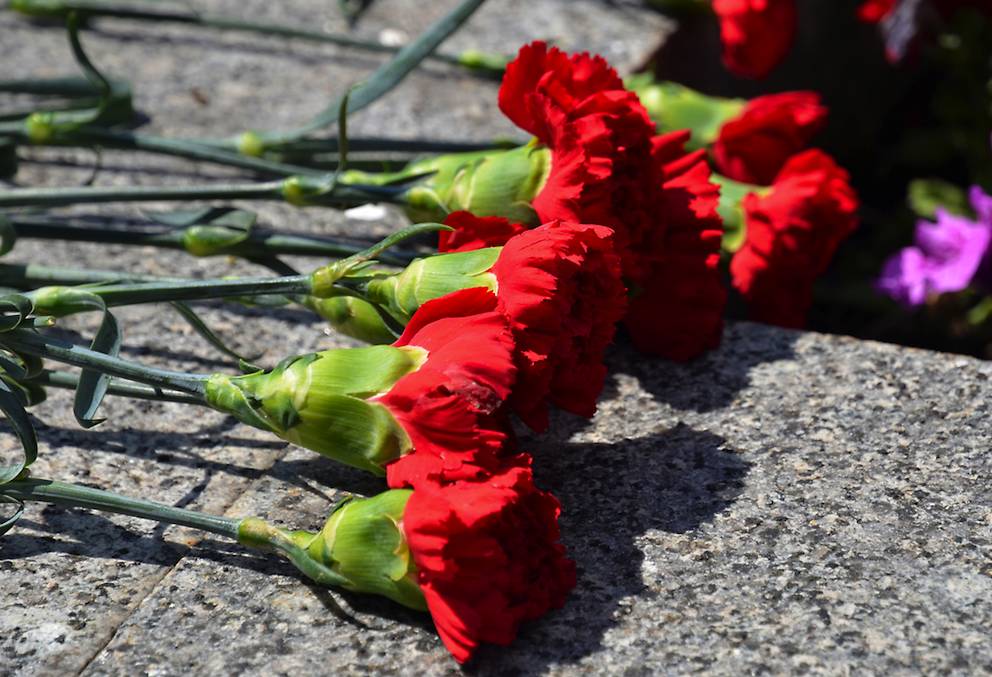 Хранители истории: столичные студенты и волонтеры примут участие в акции «Цветы Победы»