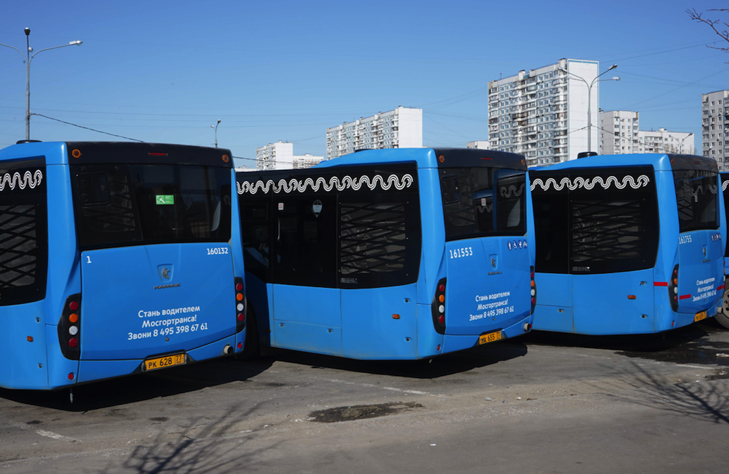 На отдых с комфортом: с автовокзала «Саларьево» запустят автобусный рейс в Геленджик