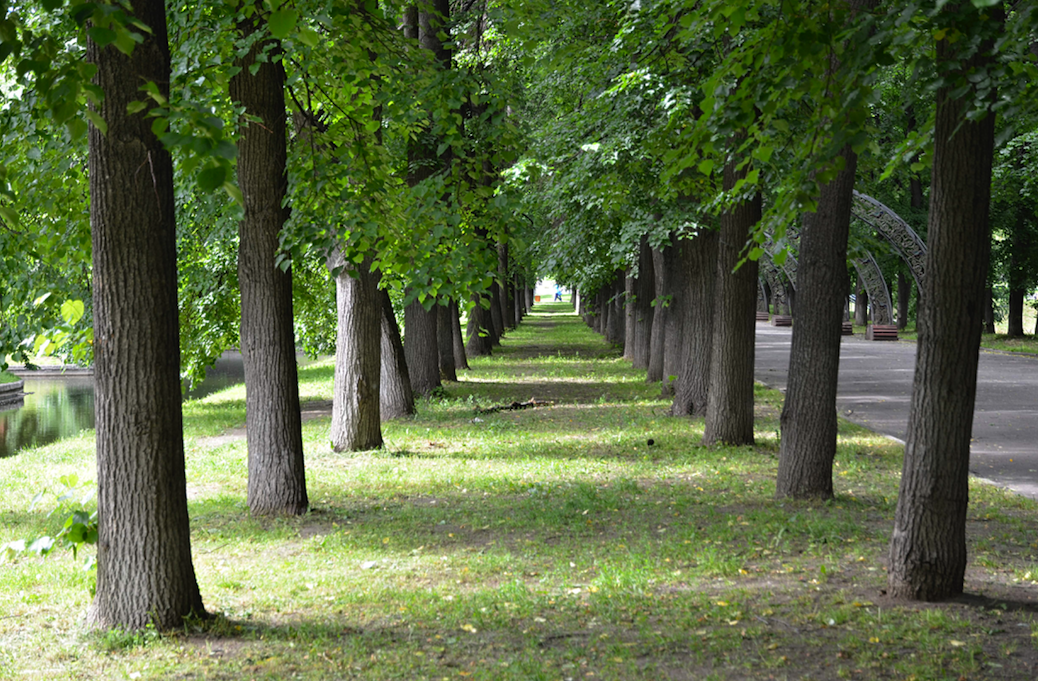 Природные территории города: около 90 процентов жителей столицы живут около парков