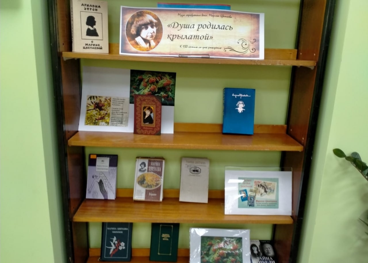 Книжную выставку «Душа родилась крылатой» открыли в библиотеке Дома культуры «Юбилейный» поселения Роговское