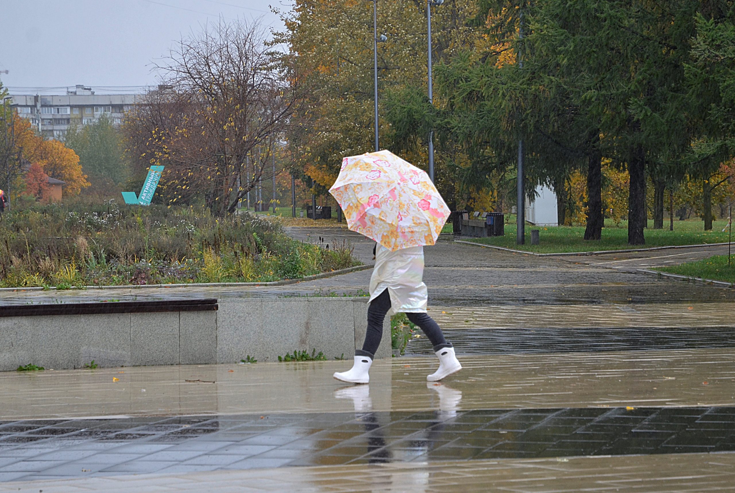 Жителей Москвы ждет облачная погода с дождями   