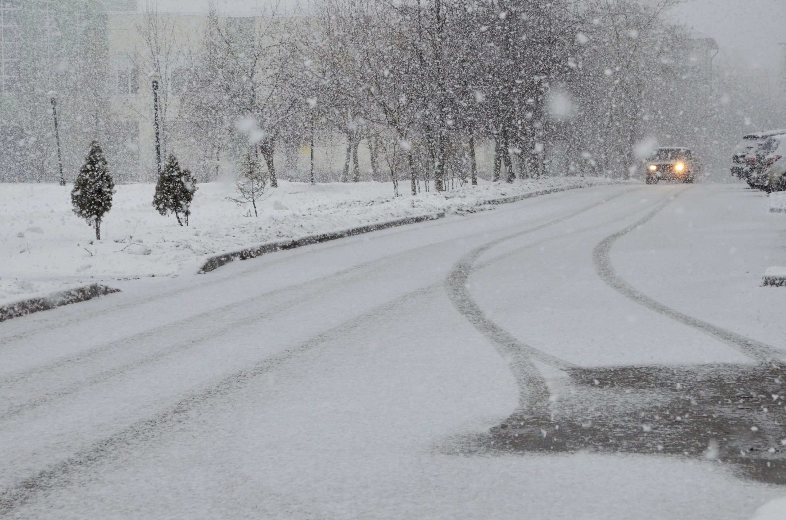 Высота снежного покрова составила более 10 сантиметров в Москве