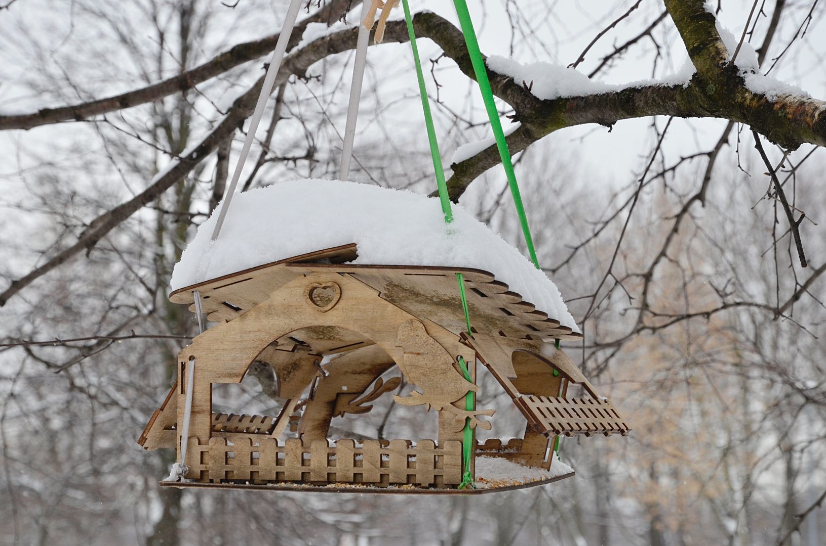 Всего в столицу зимой прибывают около 15 видов птиц. Фото: Анна Быкова, «Вечерняя Москва»