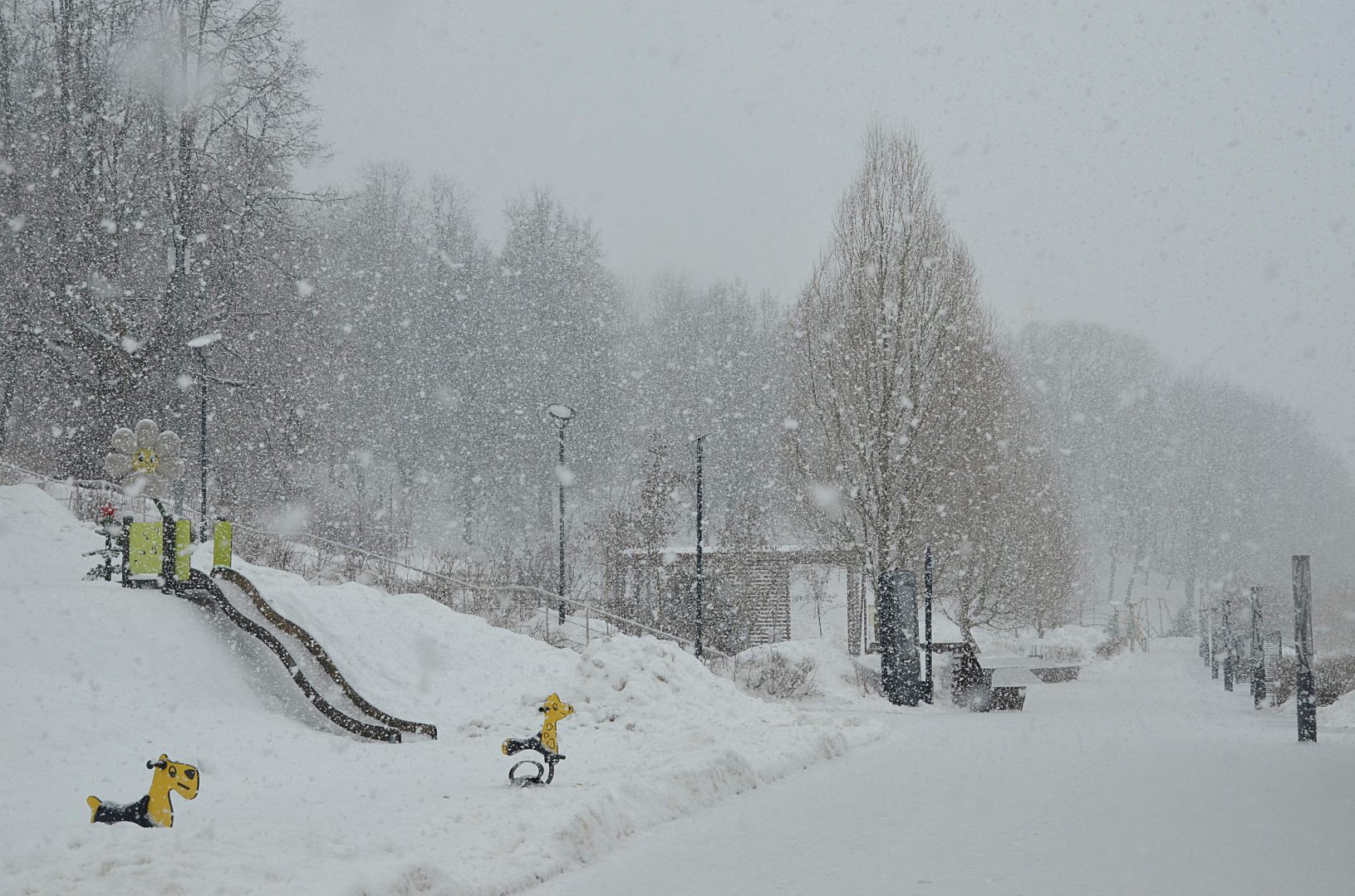 Синоптики спрогнозировали снежную и облачную погоду в столице в пятницу. Фото: Анна Быкова, «Вечерняя Москва»