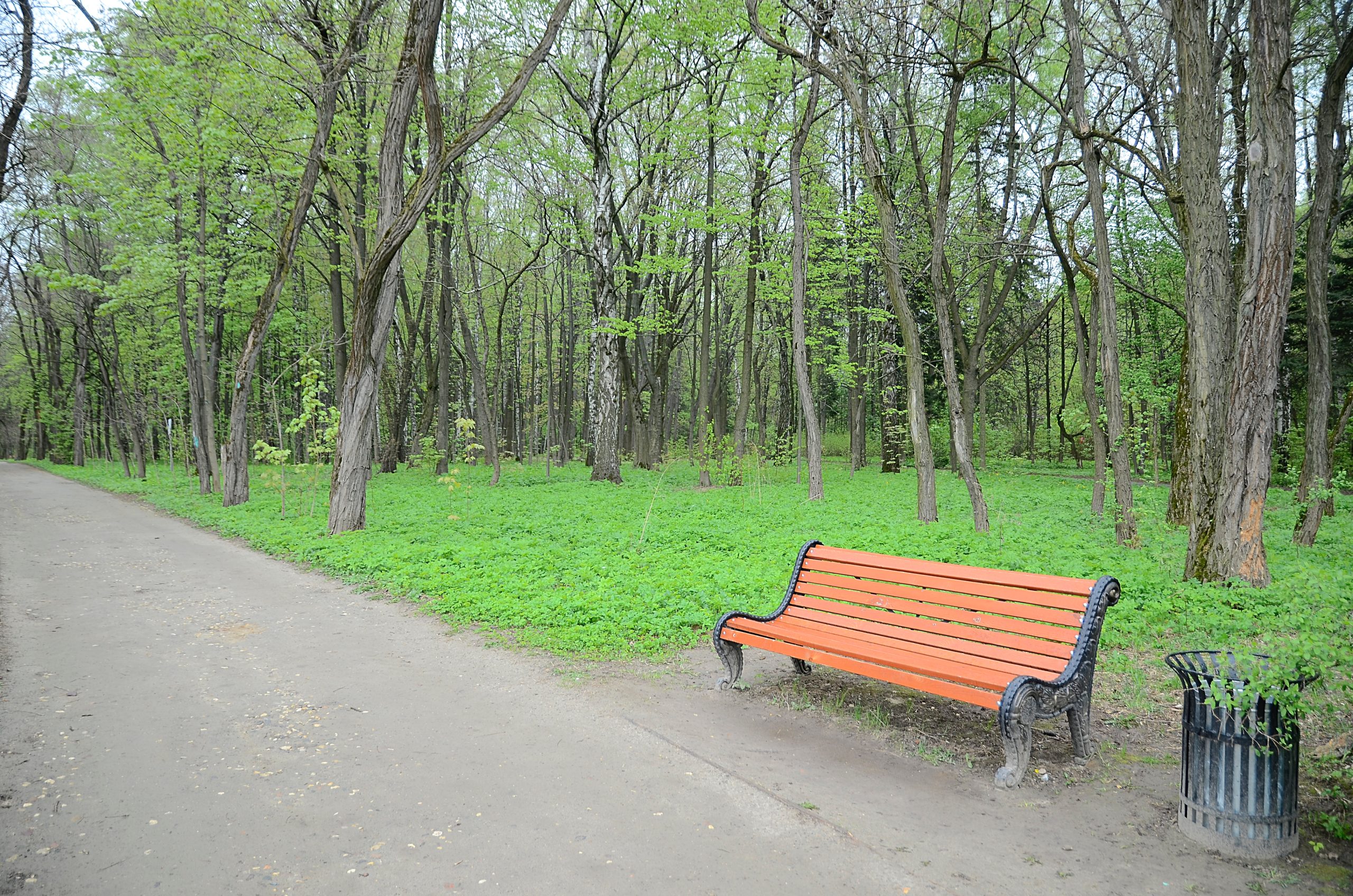 Центр притяжения: общественное пространство появится в поселении Рязановское