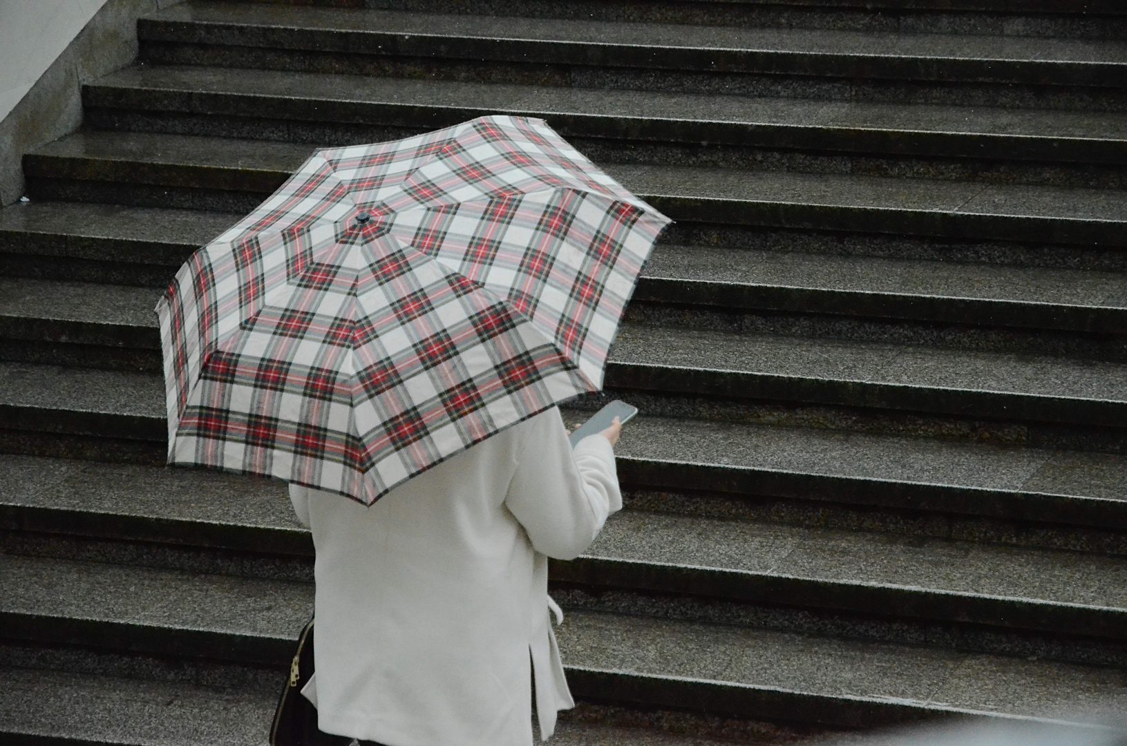 Не стоит забывать про зонт. Фото: Анна Быкова, «Вечерняя Москва»
