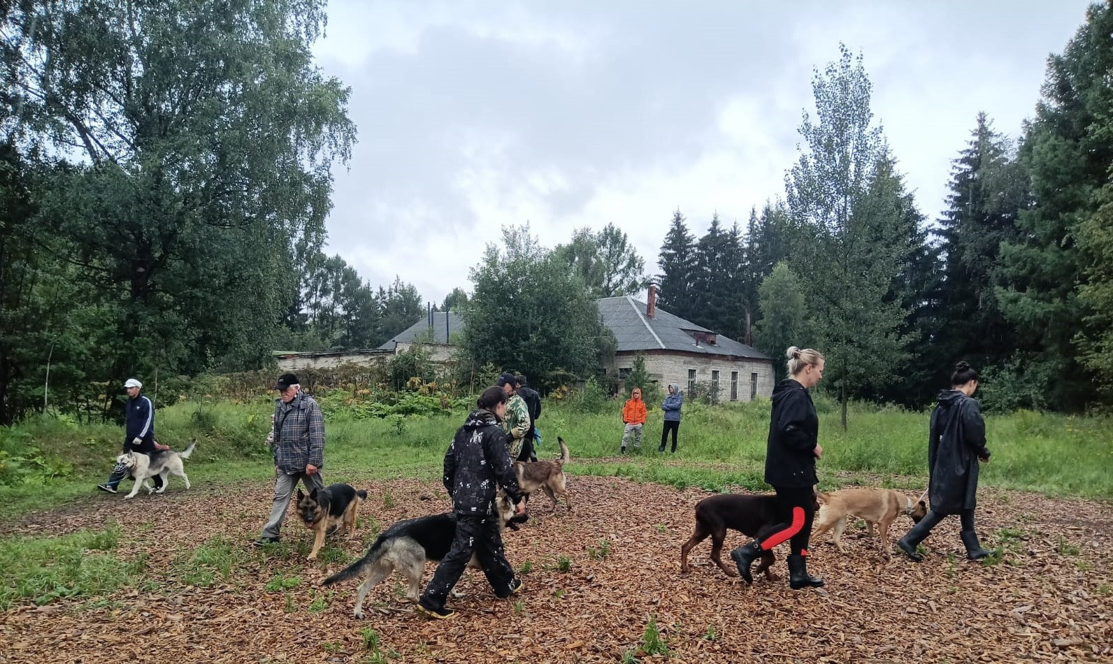 Тренировку по дрессировке собак провели в Десеновском